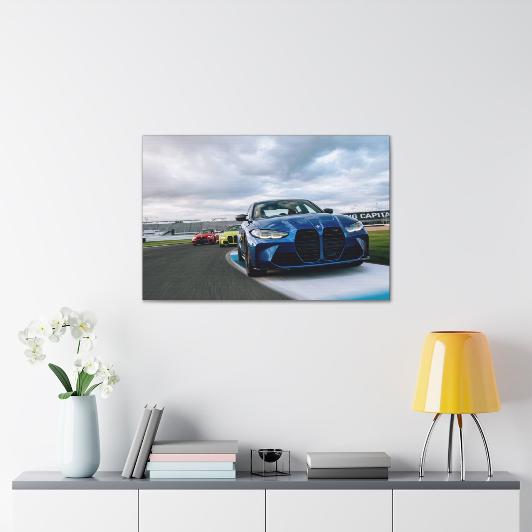 BMW Ms at IMS - Canvas