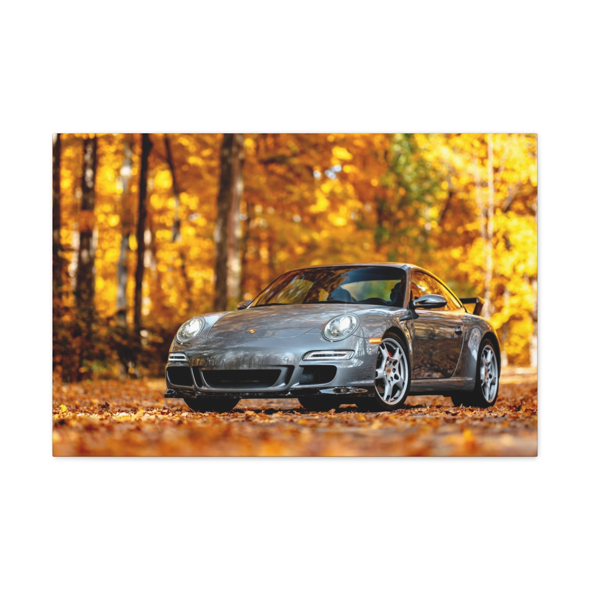 Aaron's 997 Aerokit - Canvas