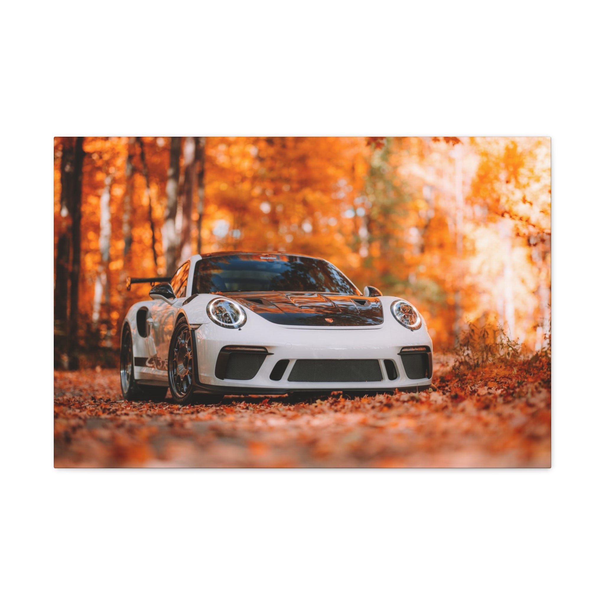 Porsche 911 GT3RS Weissach Canvas