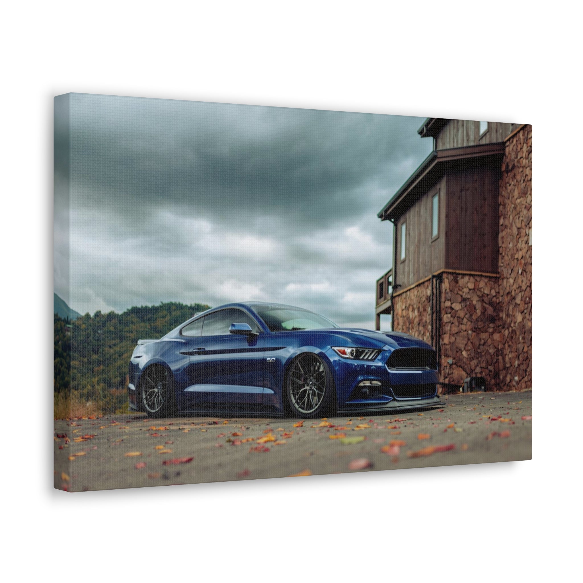 Ben's Mustang - SE Gatlinburg - Canvas