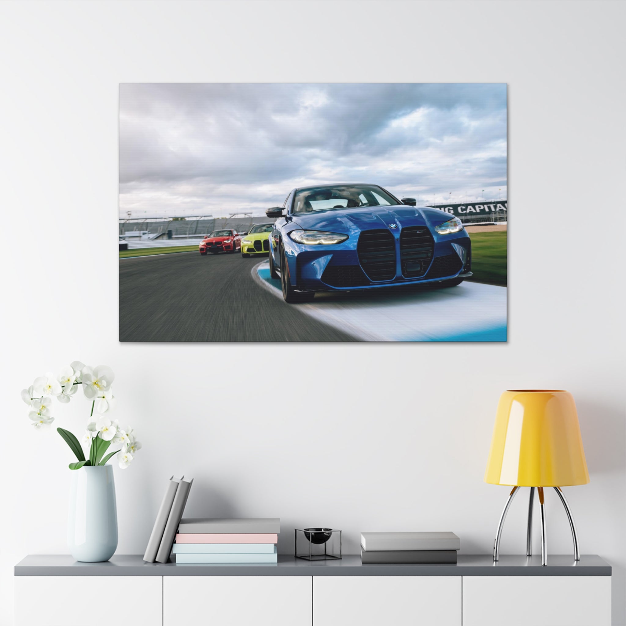 BMW Ms at IMS - Canvas