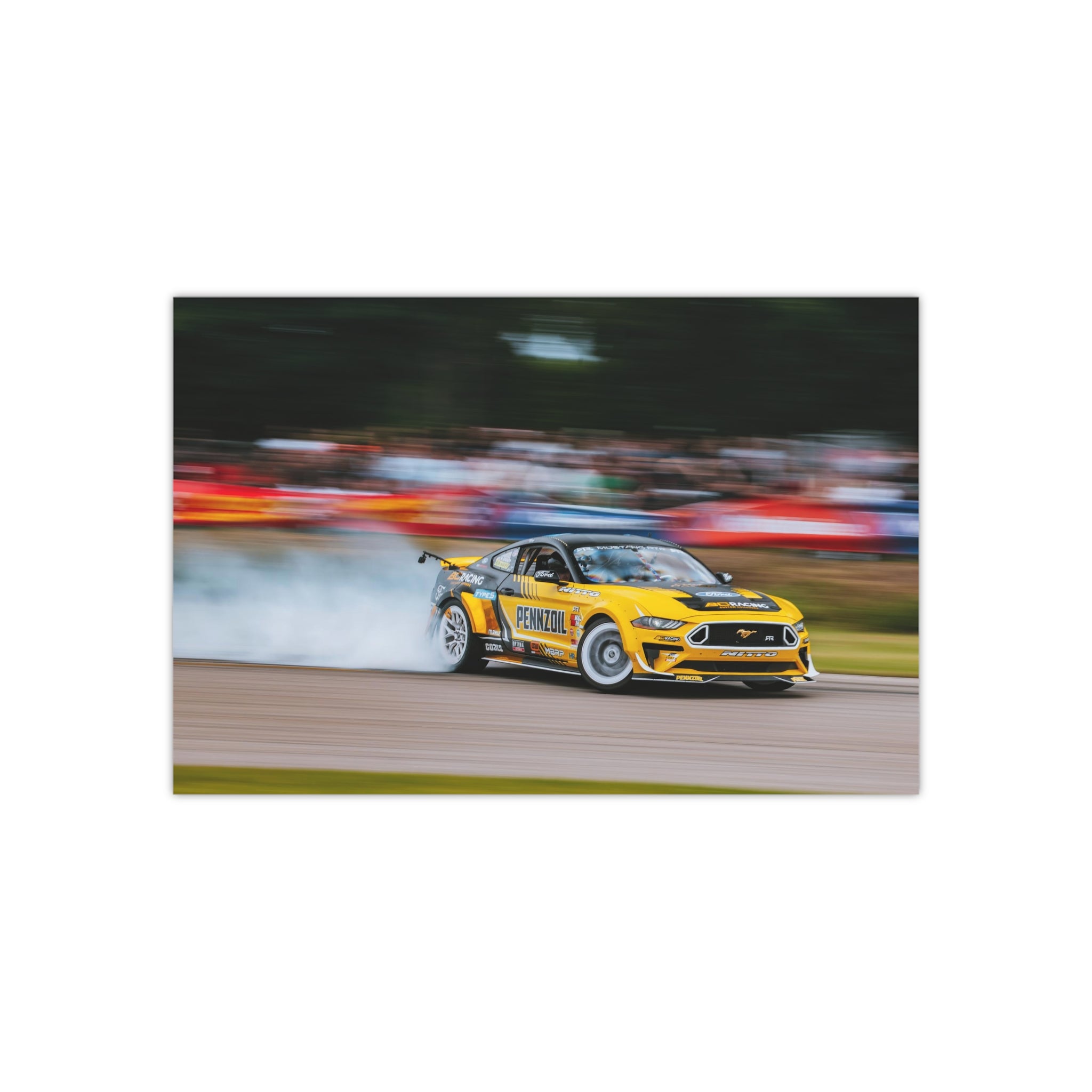 Chelsea DeNofa's RTR Mustang - Gingerman Raceway