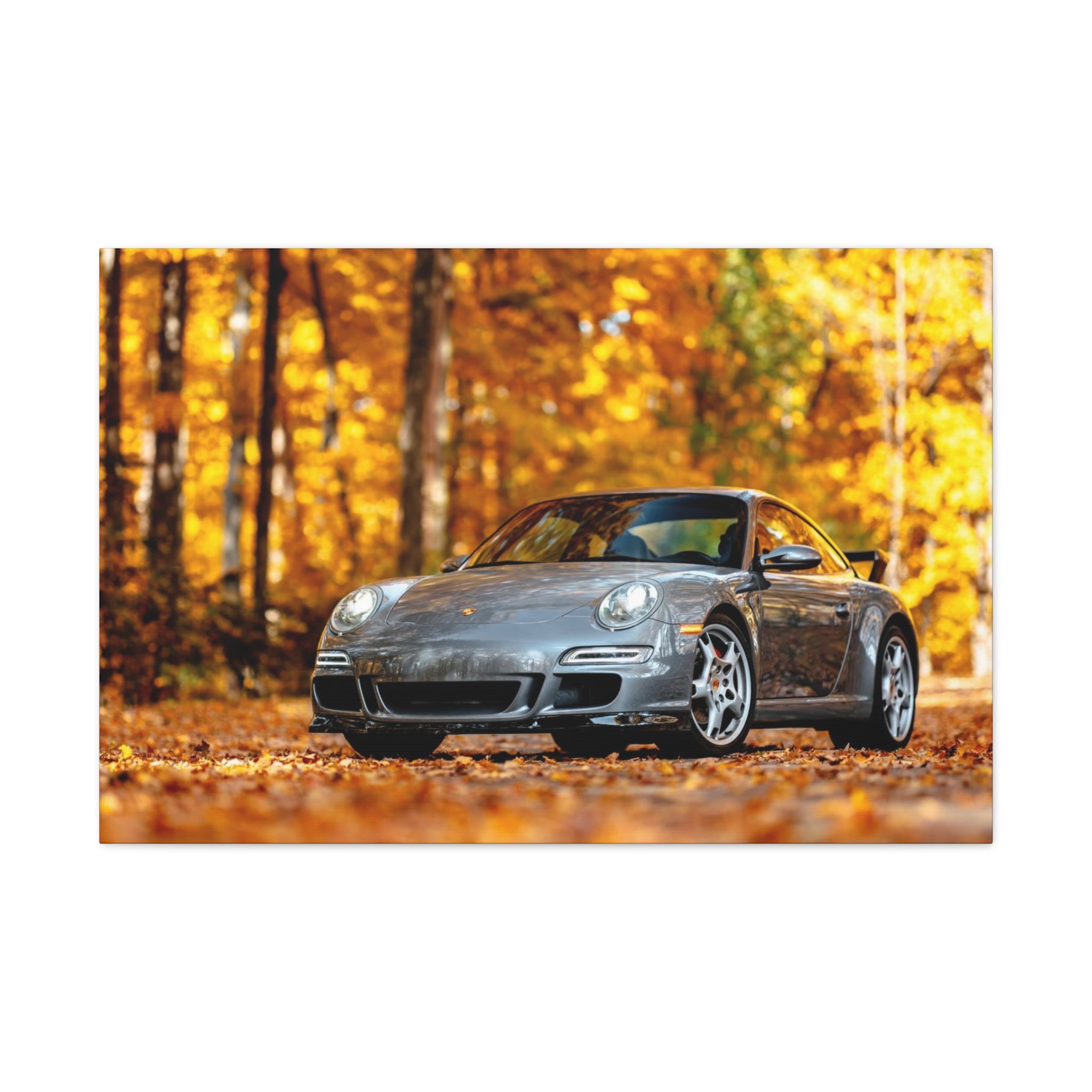 Aaron's 997 Aerokit - Canvas