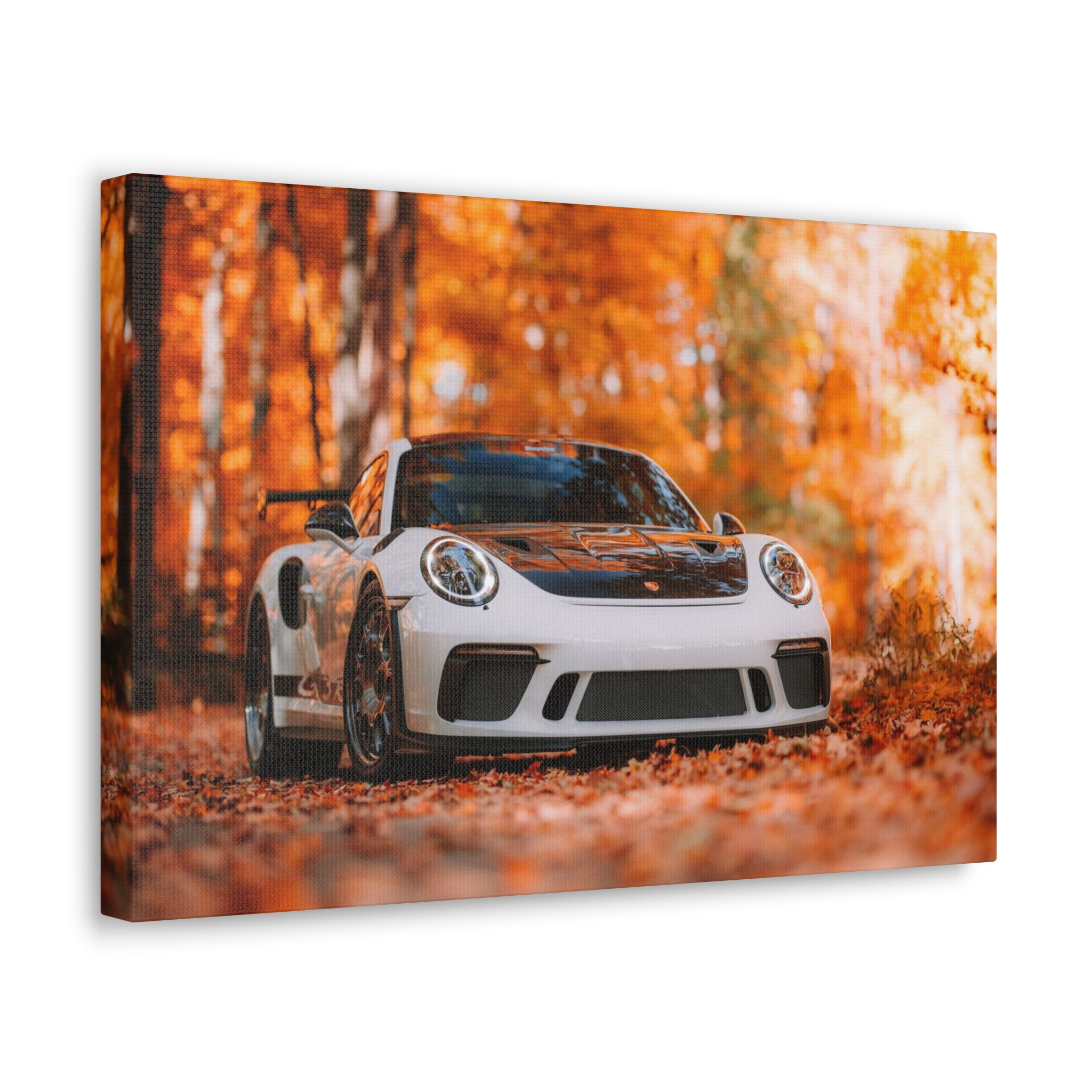 Porsche 911 GT3RS Weissach Canvas