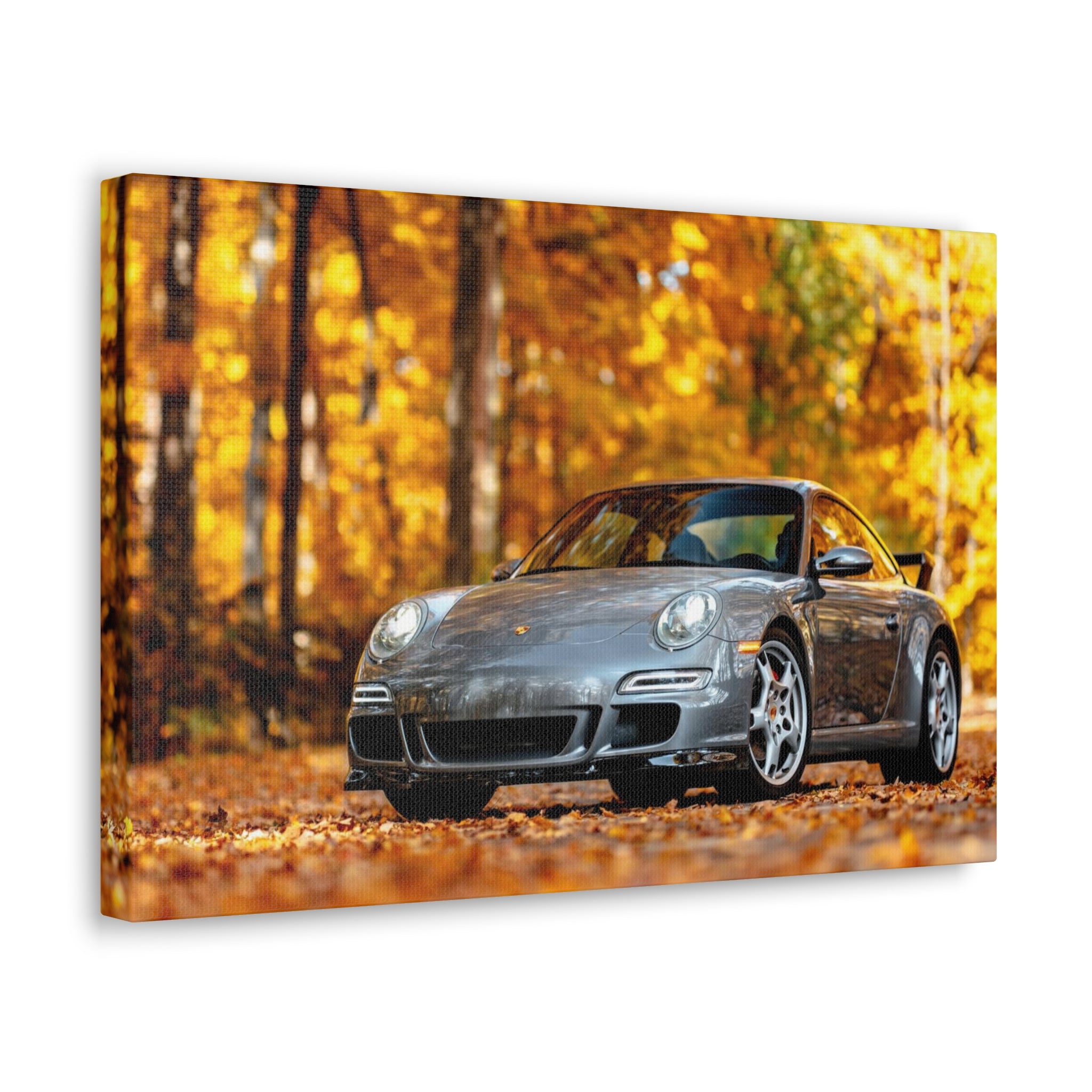 Aaron's 997 Aerokit - Canvas