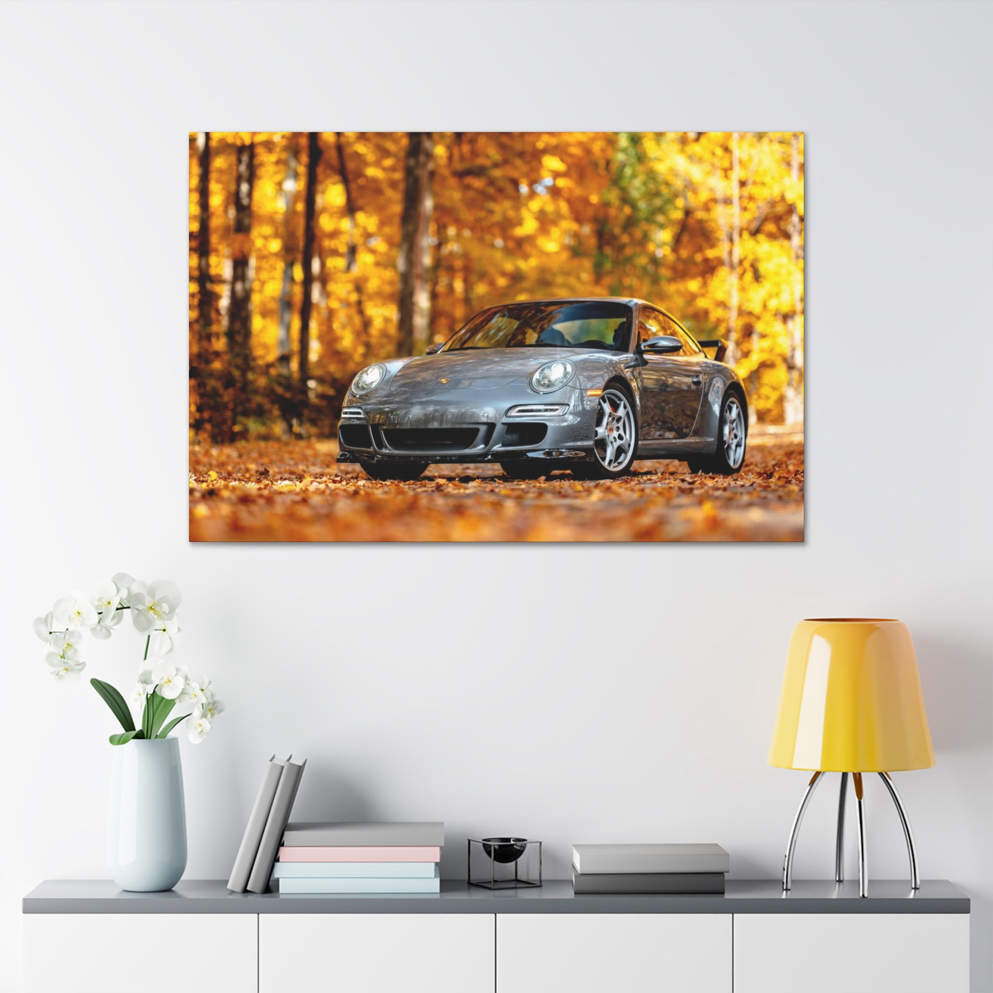 Aaron's 997 Aerokit - Canvas