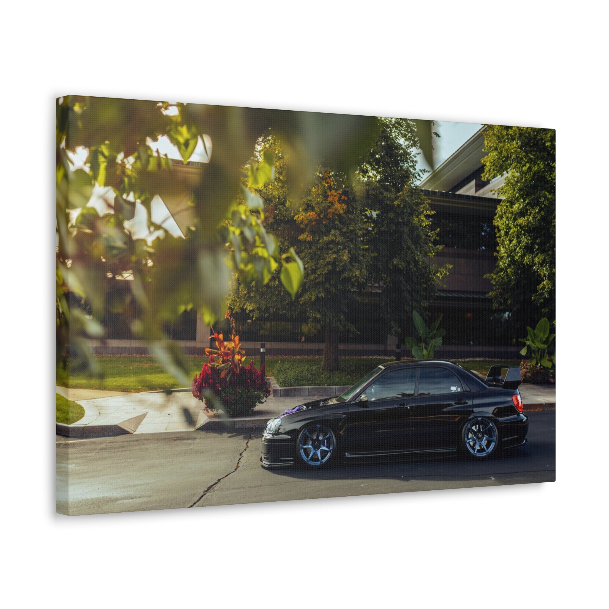 Wirtz STI Canvas