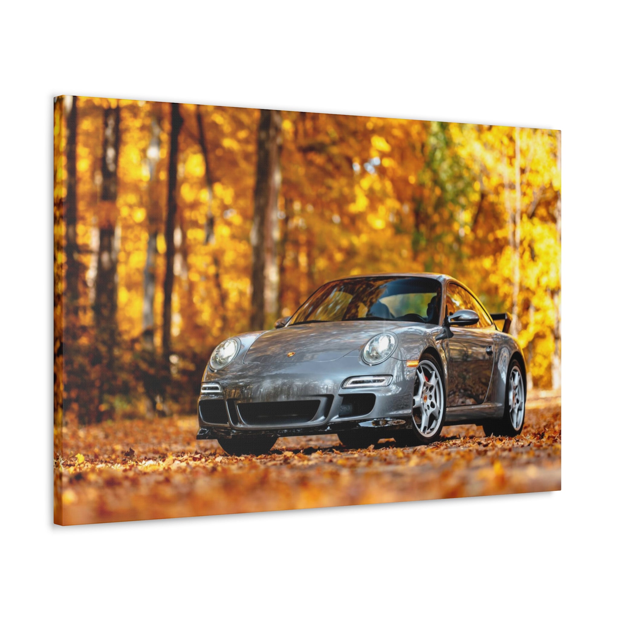Aaron's 997 Aerokit - Canvas