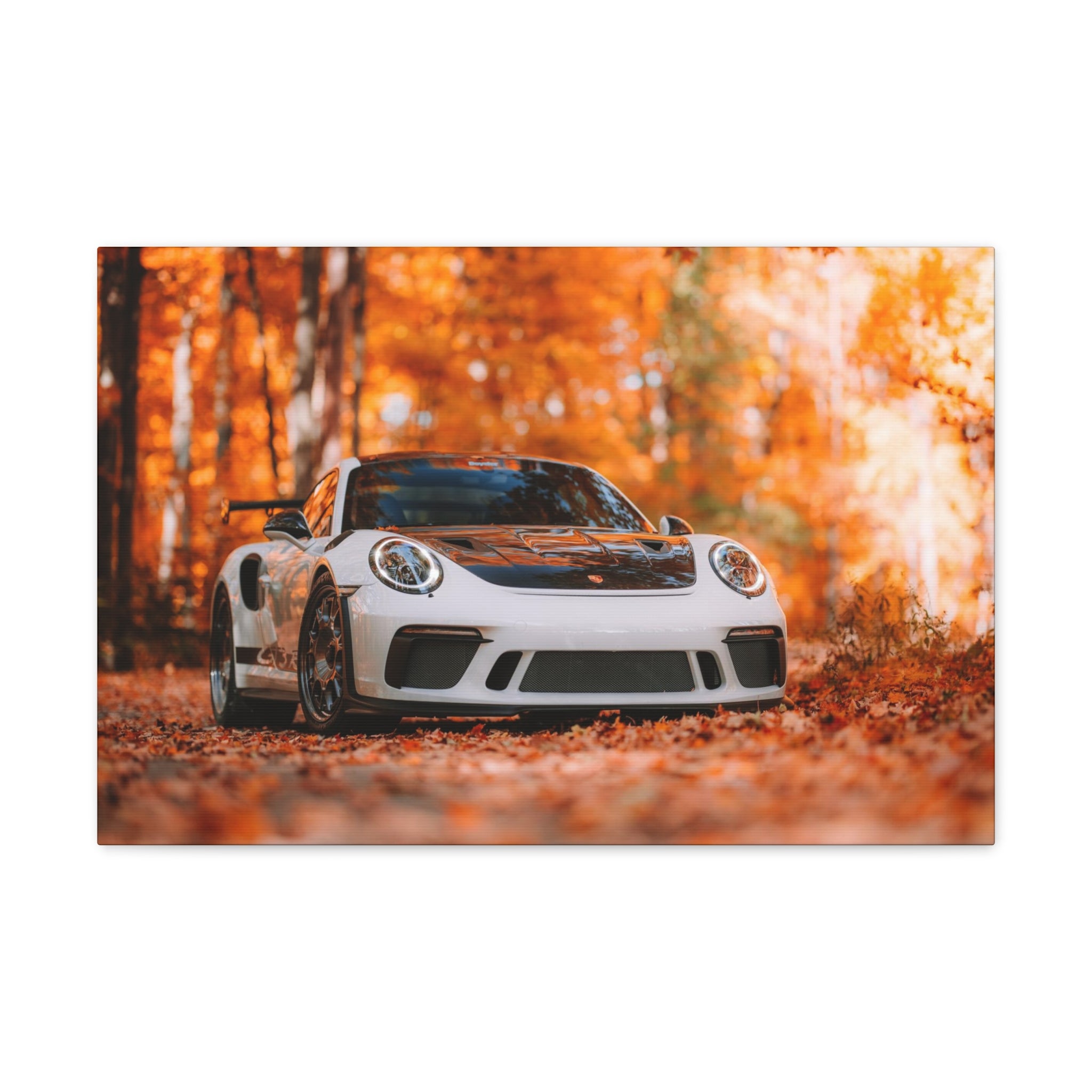 Porsche 911 GT3RS Weissach Canvas