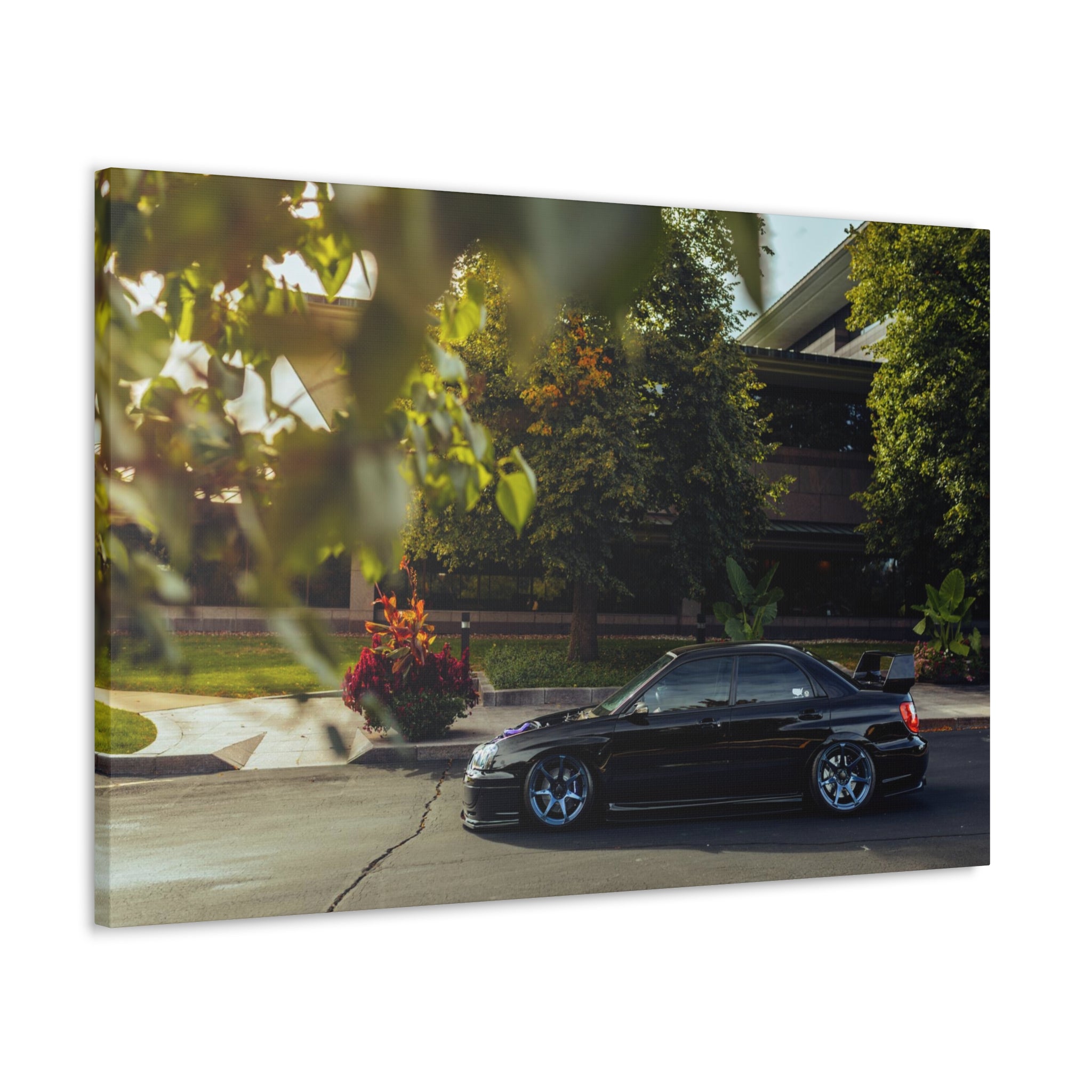 Wirtz STI Canvas