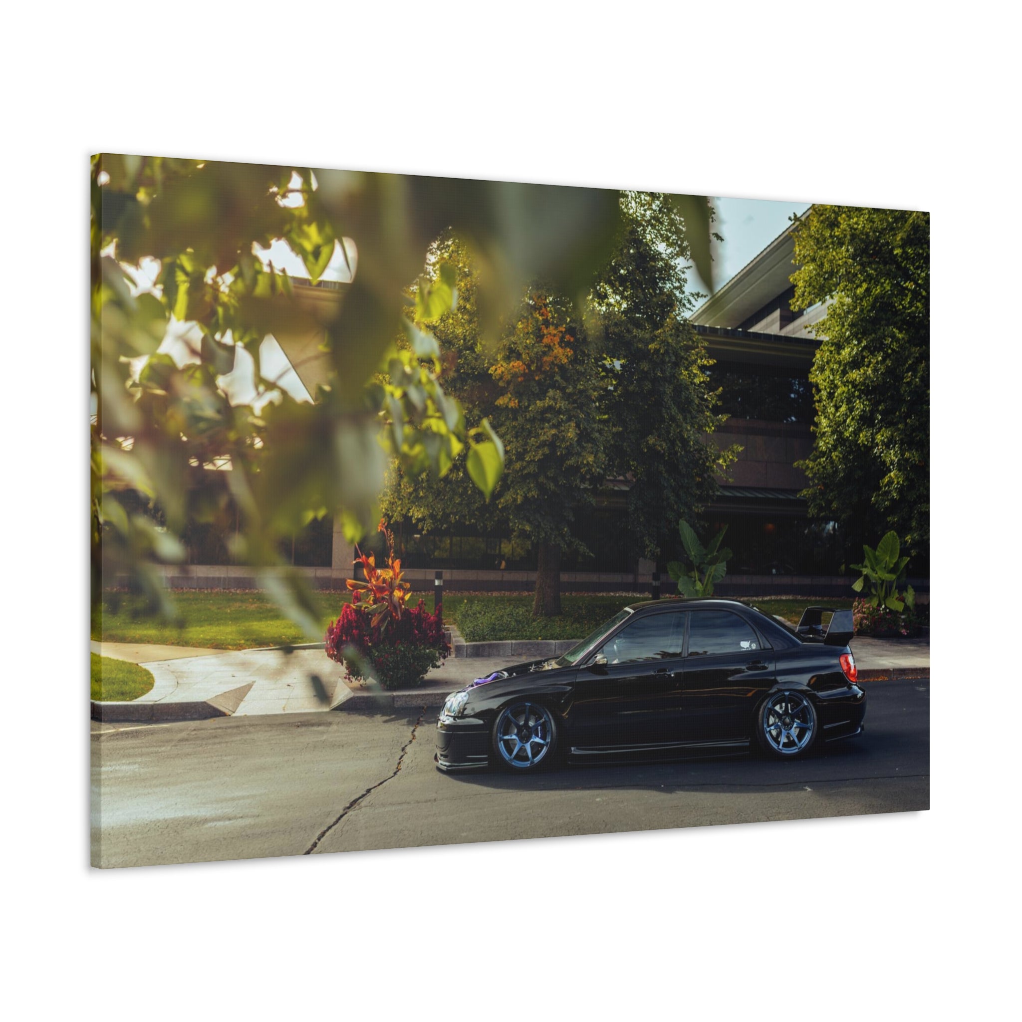 Wirtz STI Canvas