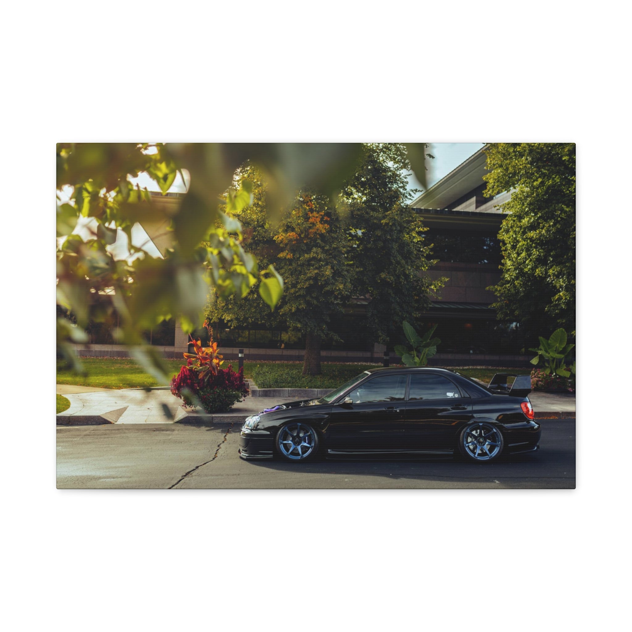 Wirtz STI Canvas