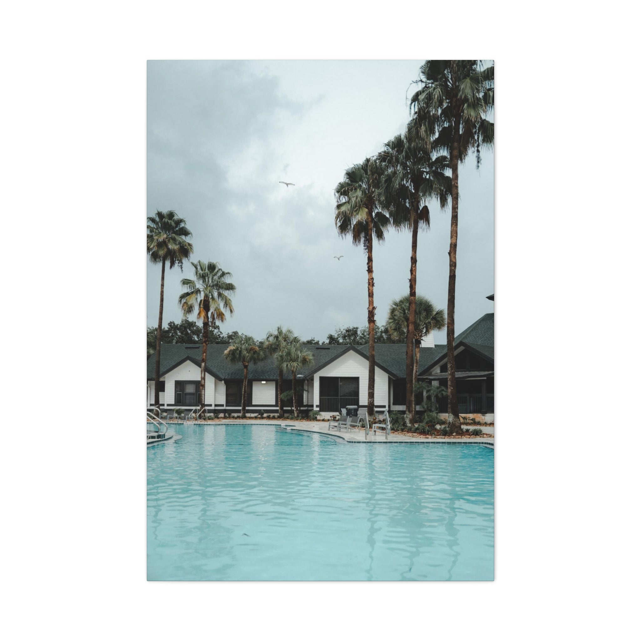 Poolside - Tampa Canvas