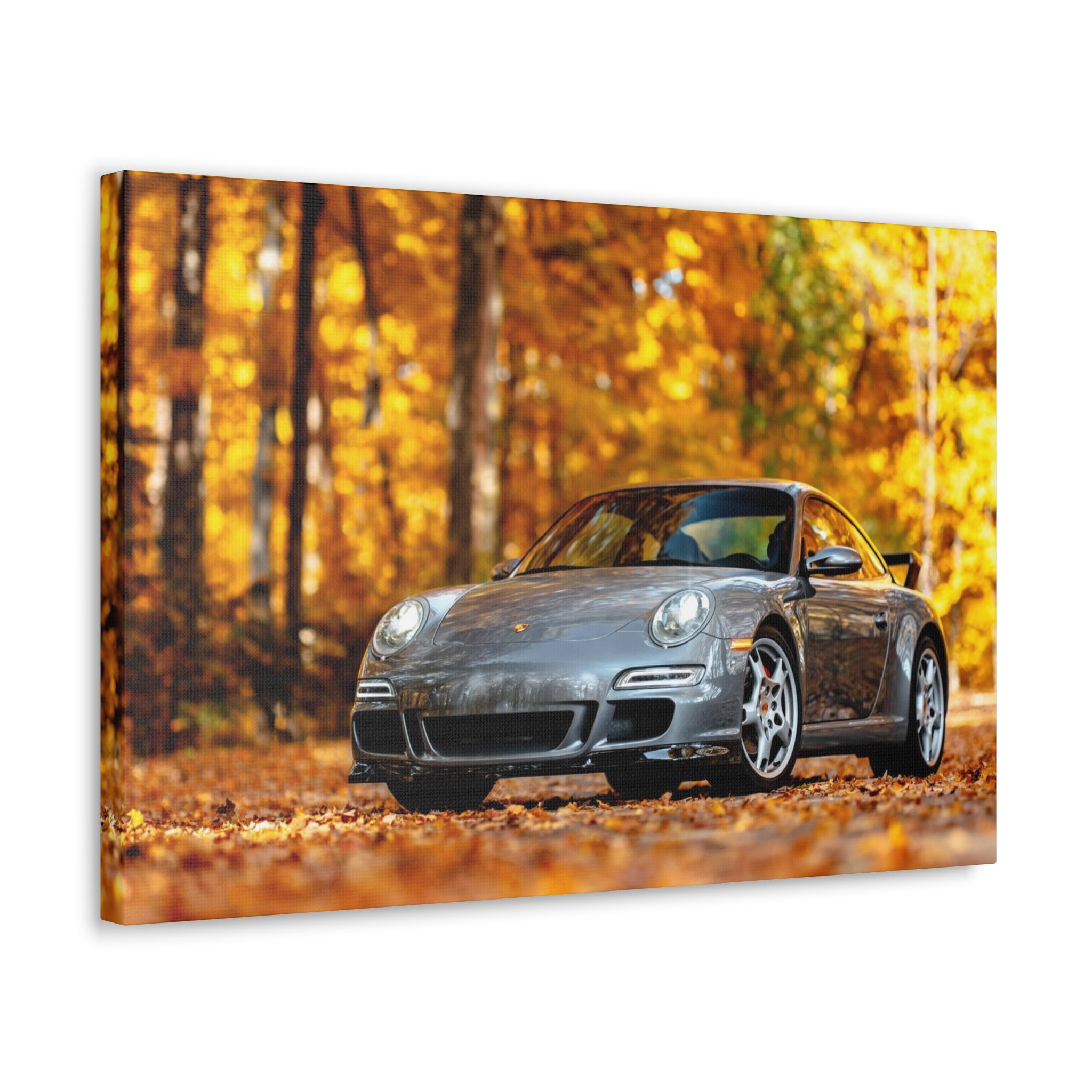 Aaron's 997 Aerokit - Canvas