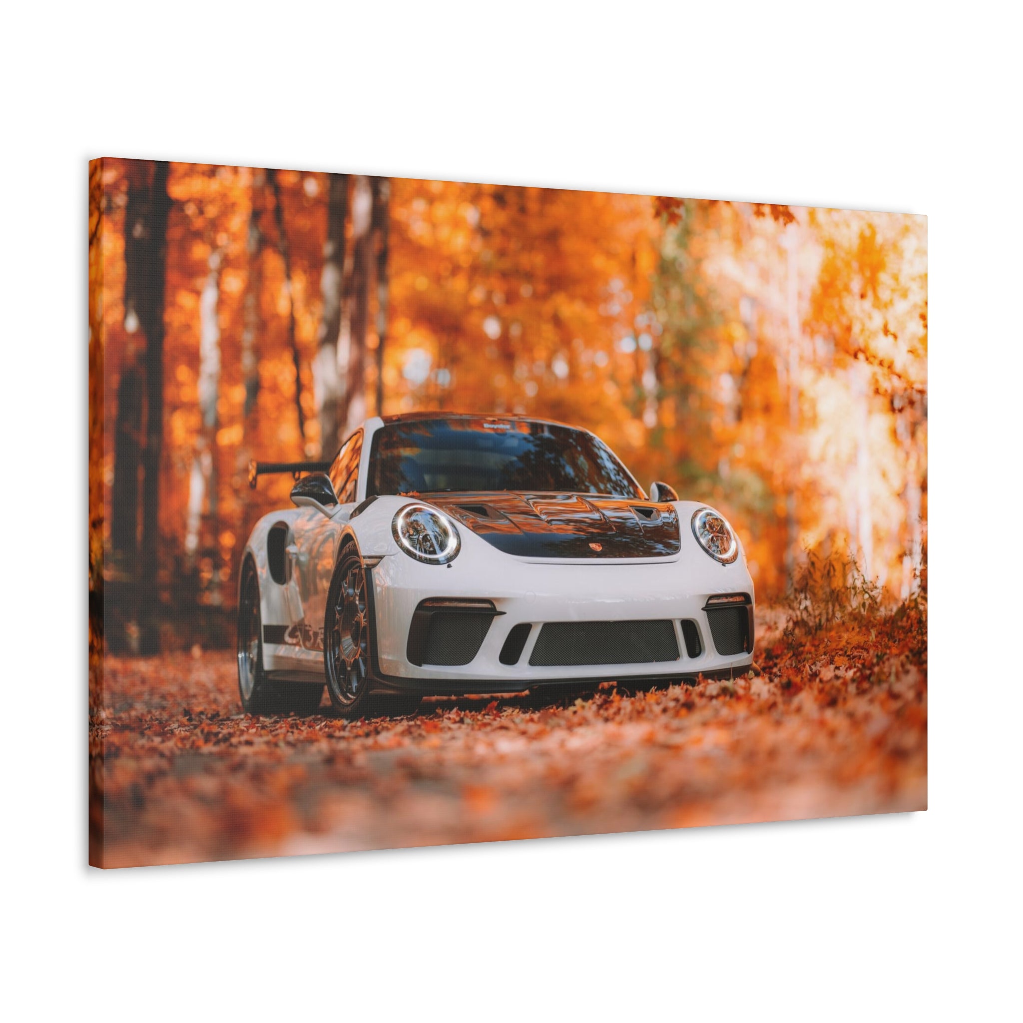Porsche 911 GT3RS Weissach Canvas