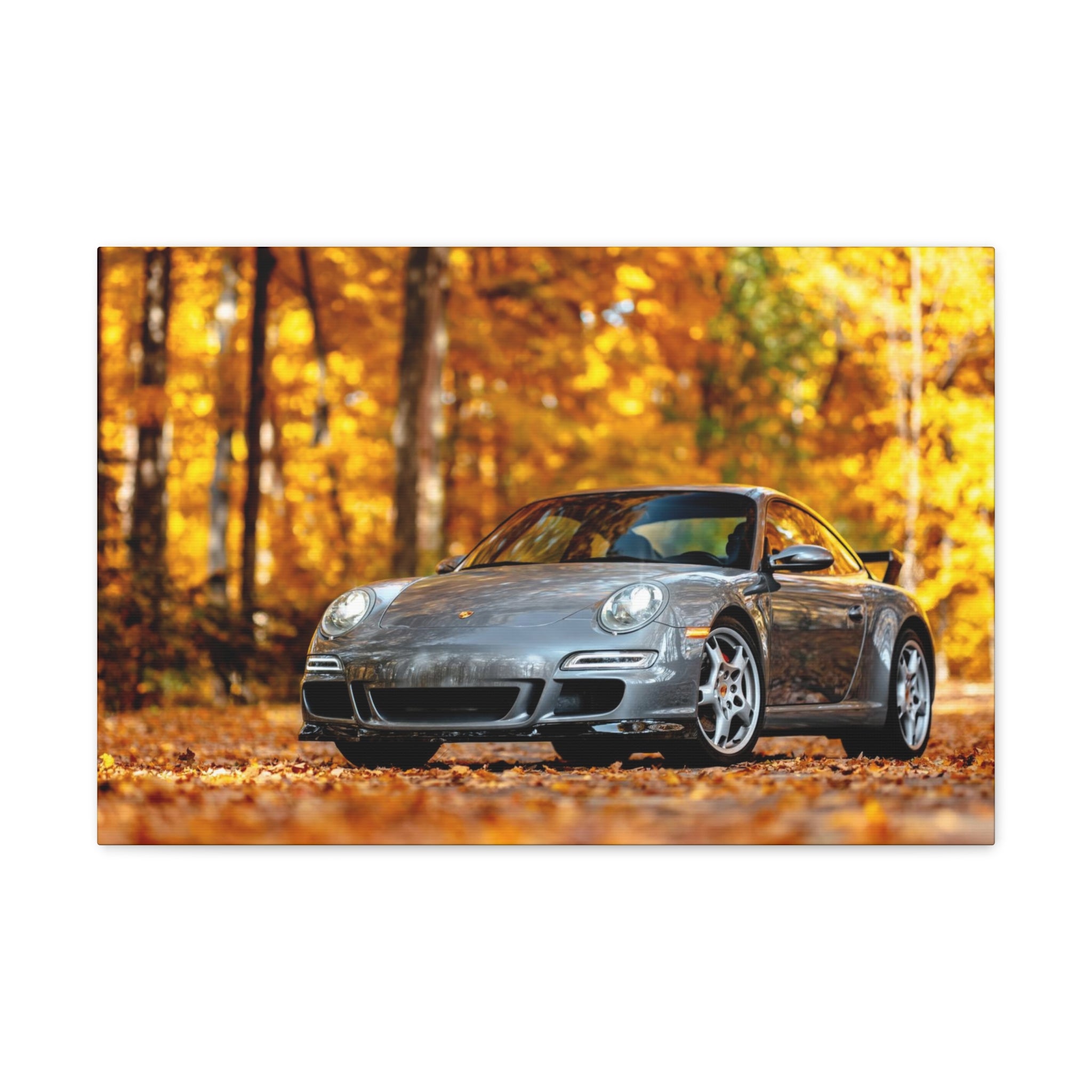 Aaron's 997 Aerokit - Canvas