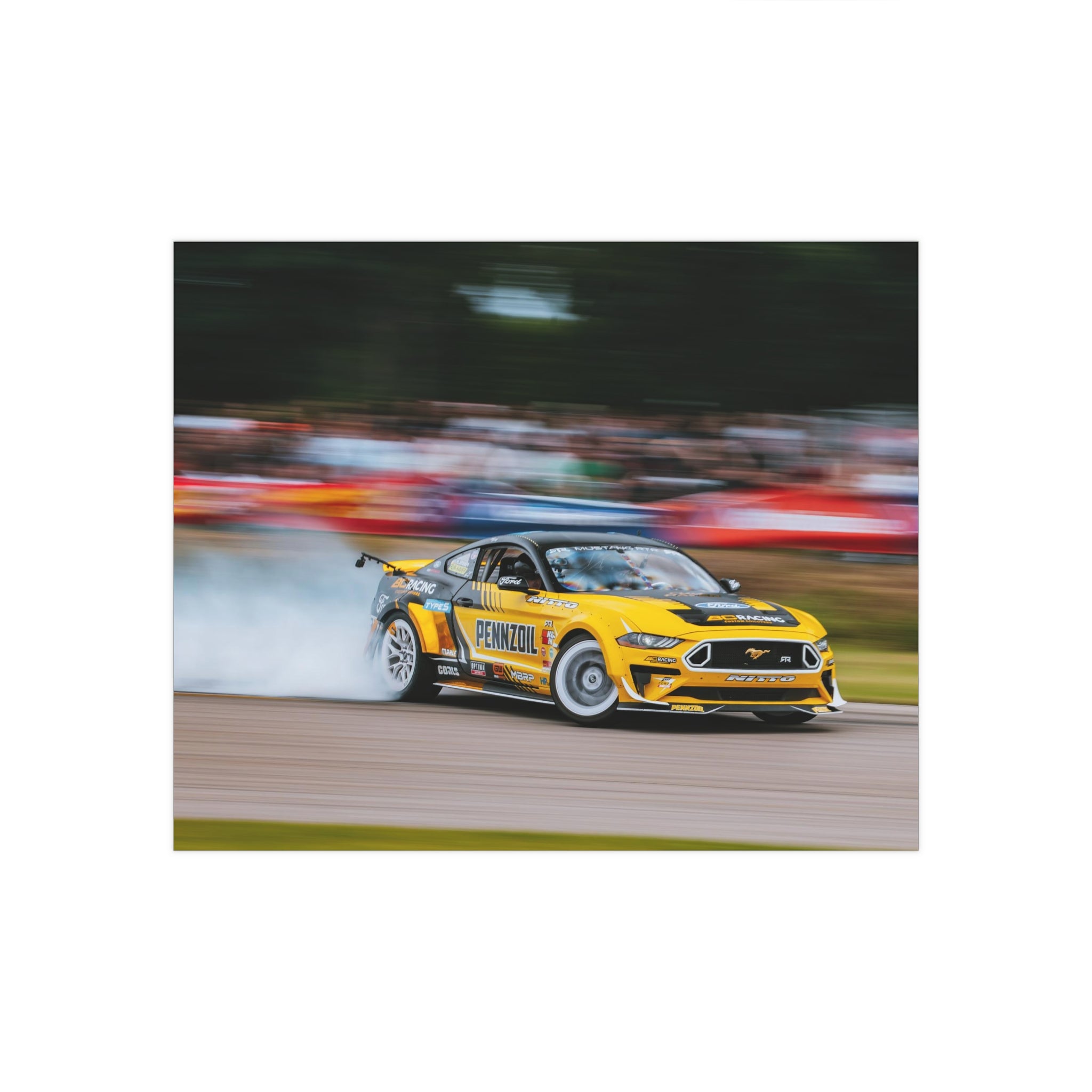 Chelsea DeNofa's RTR Mustang - Gingerman Raceway