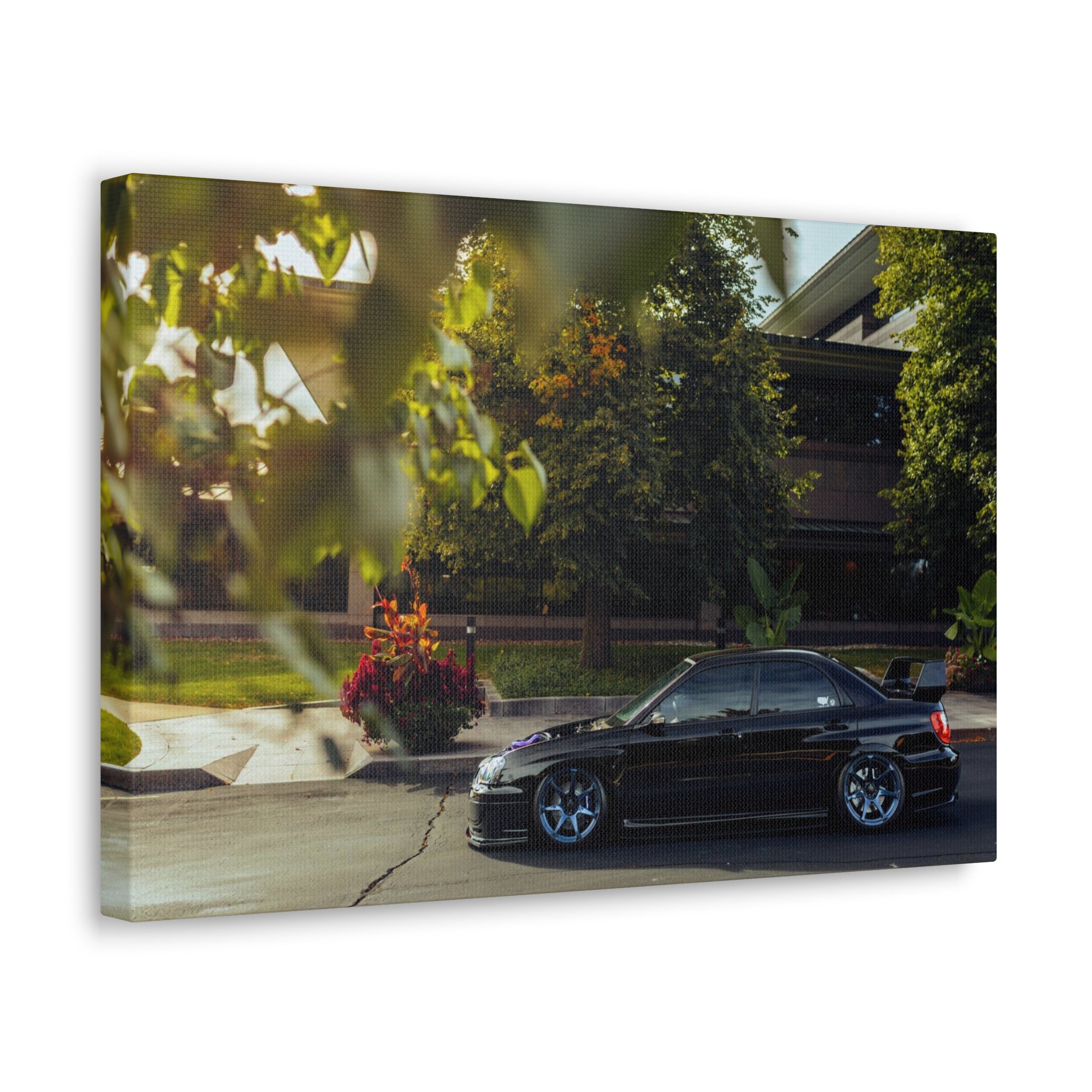 Wirtz STI Canvas
