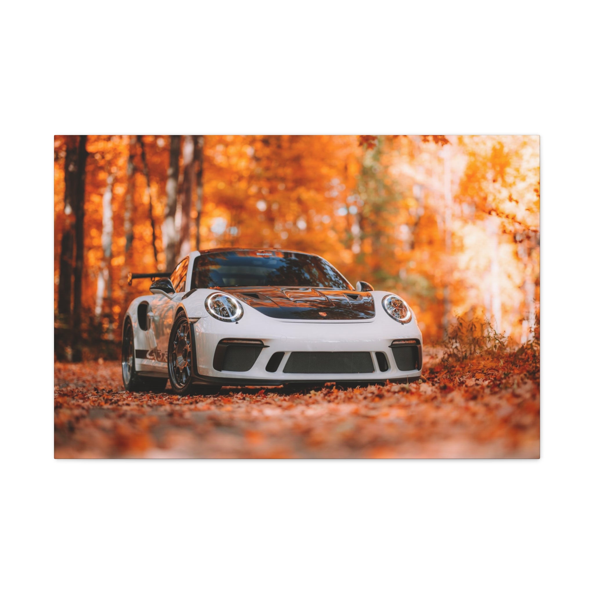 Porsche 911 GT3RS Weissach Canvas