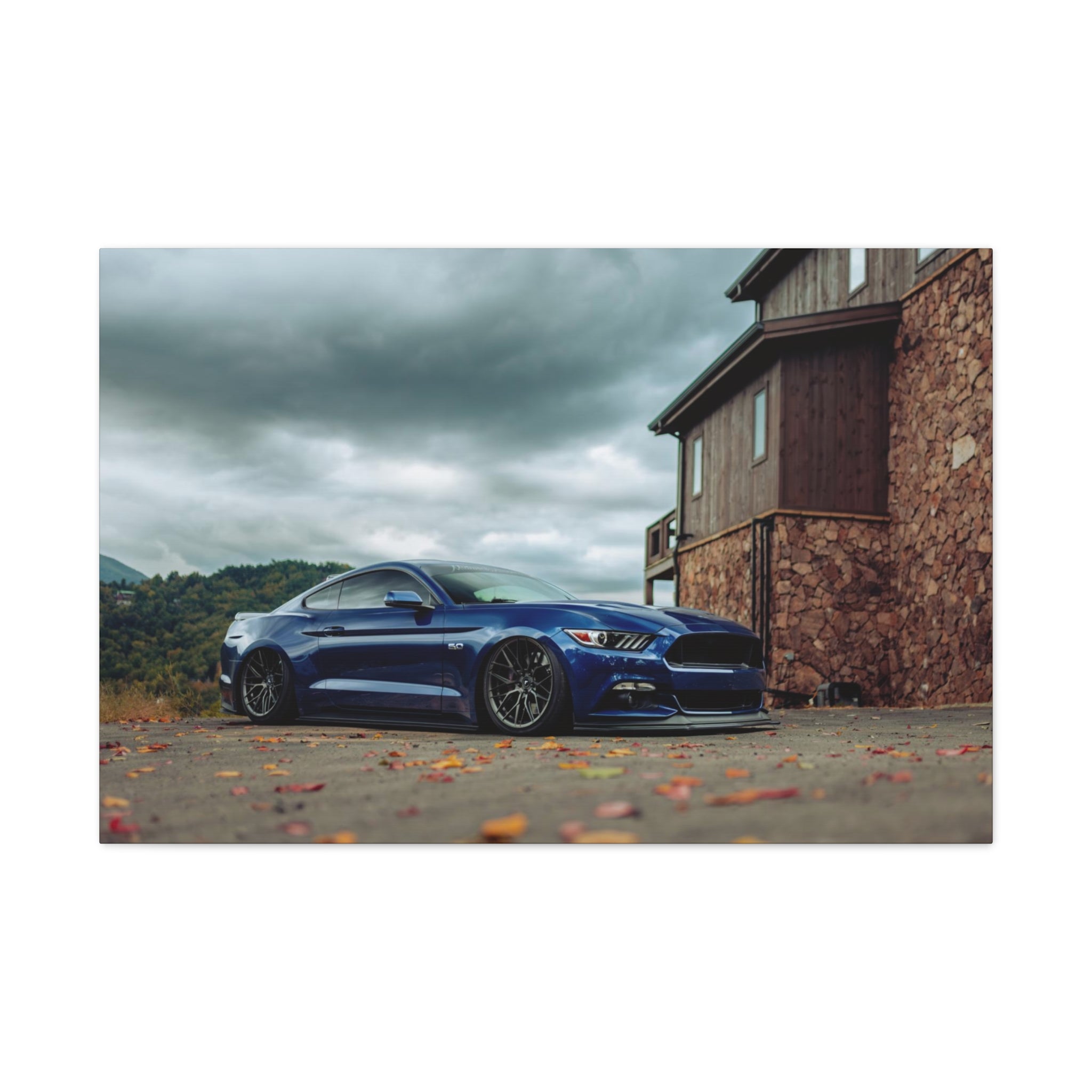Ben's Mustang - SE Gatlinburg - Canvas