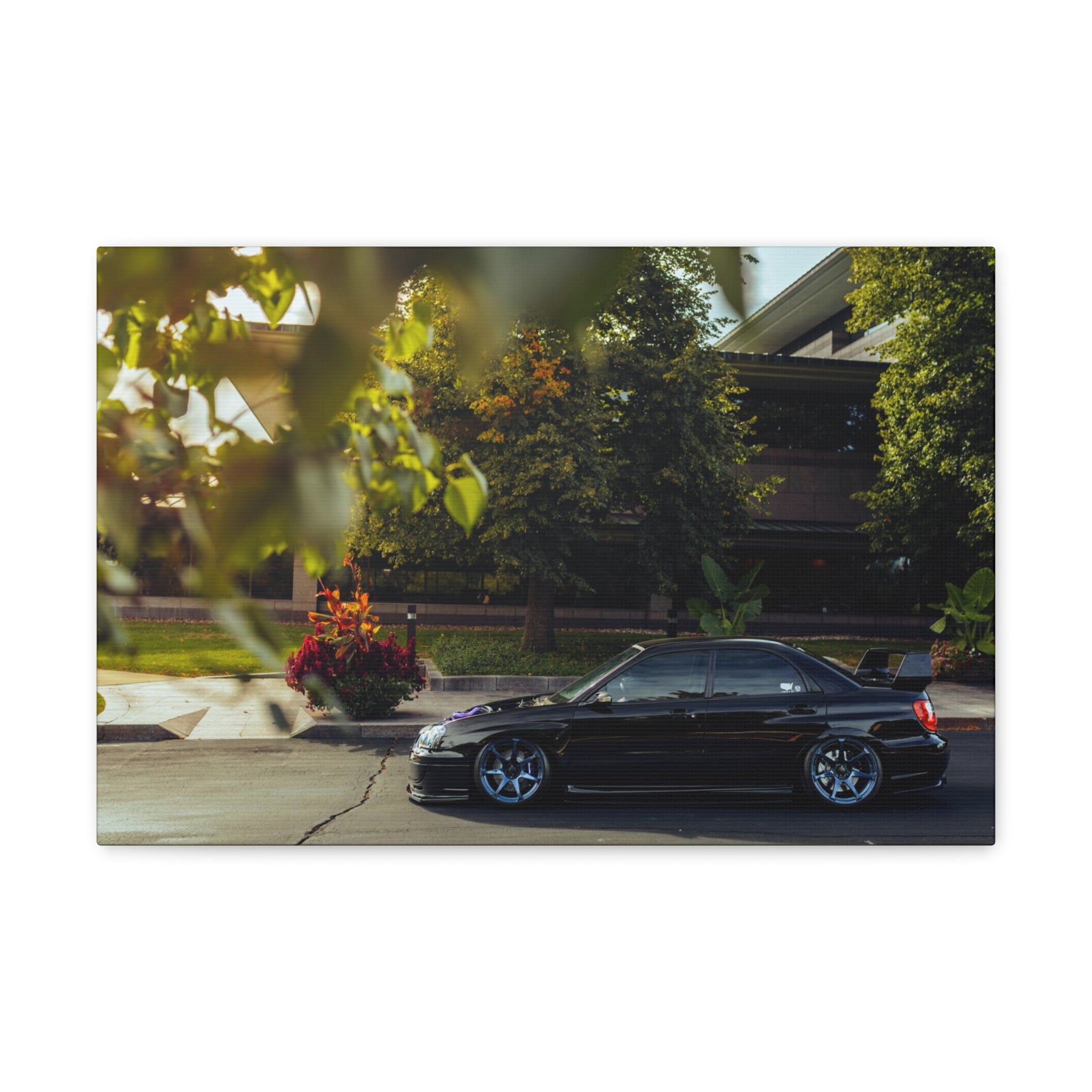 Wirtz STI Canvas