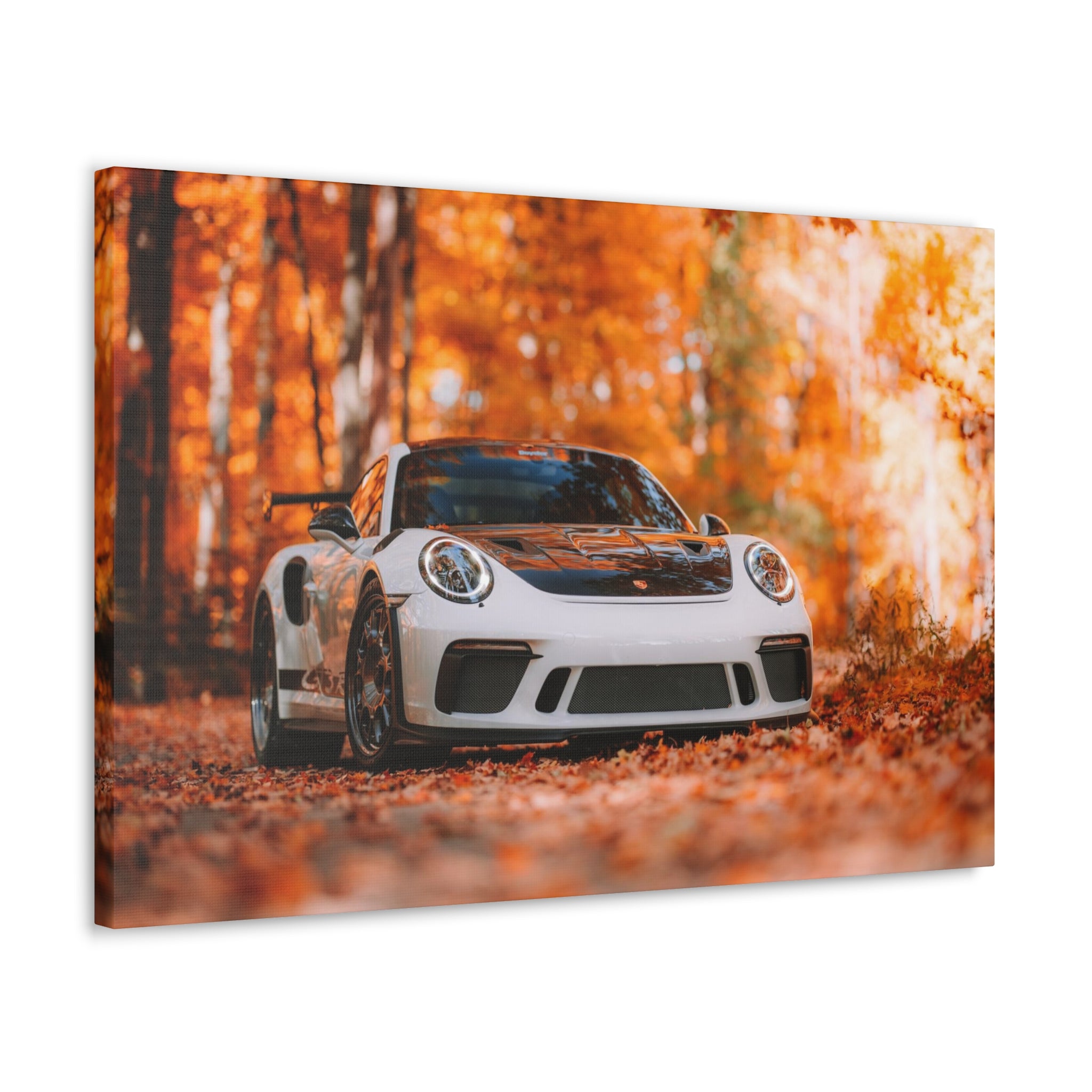 Porsche 911 GT3RS Weissach Canvas