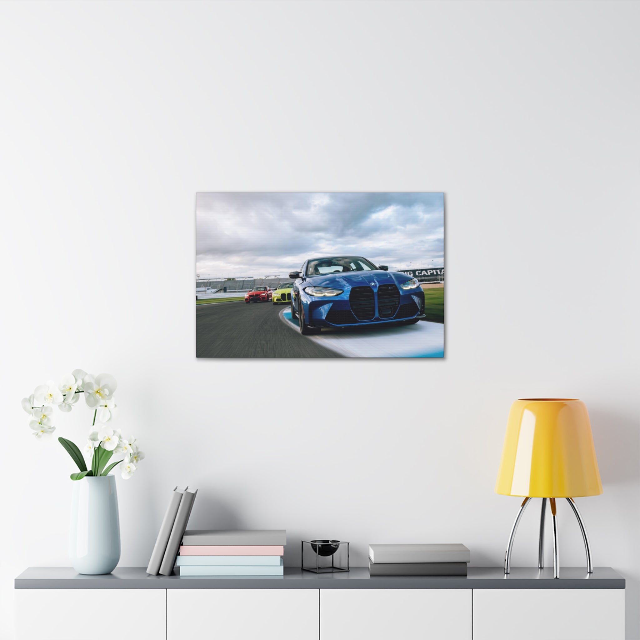 BMW Ms at IMS - Canvas