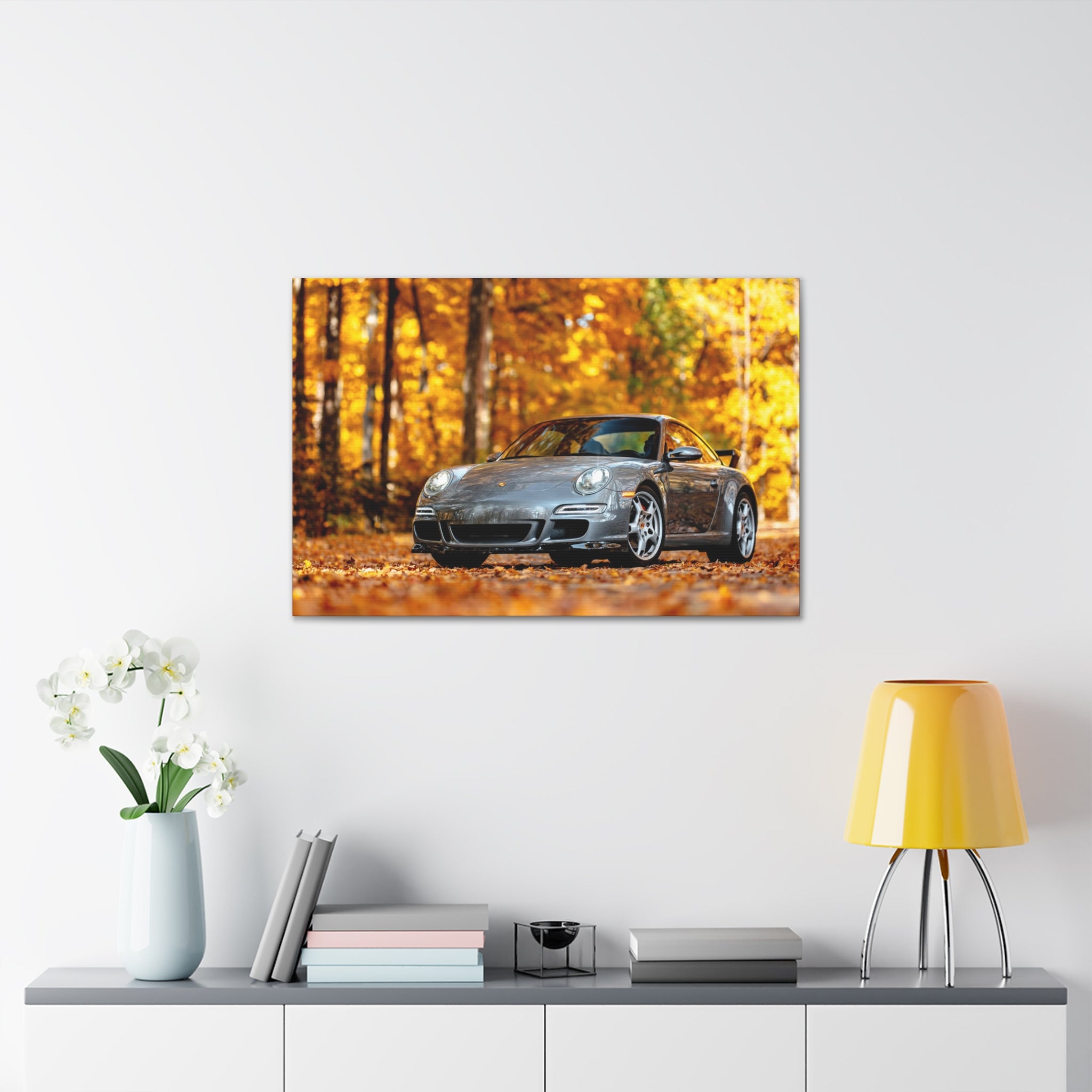 Aaron's 997 Aerokit - Canvas