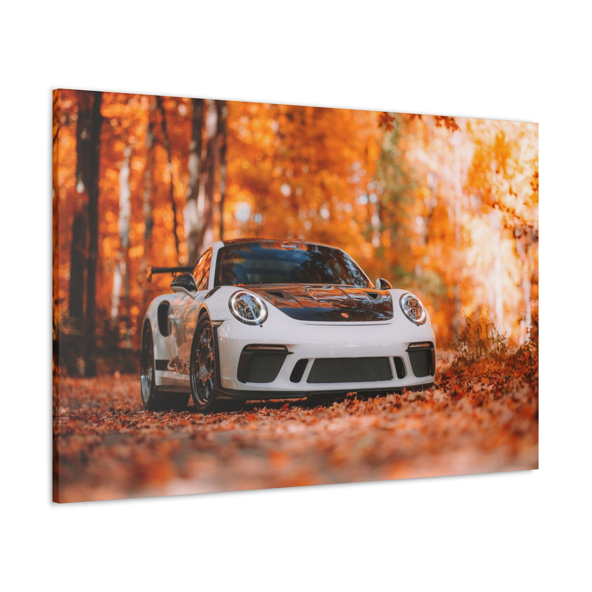 Porsche 911 GT3RS Weissach Canvas