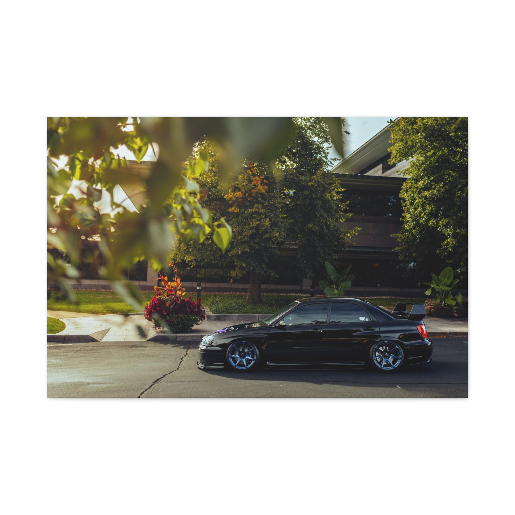Wirtz STI Canvas
