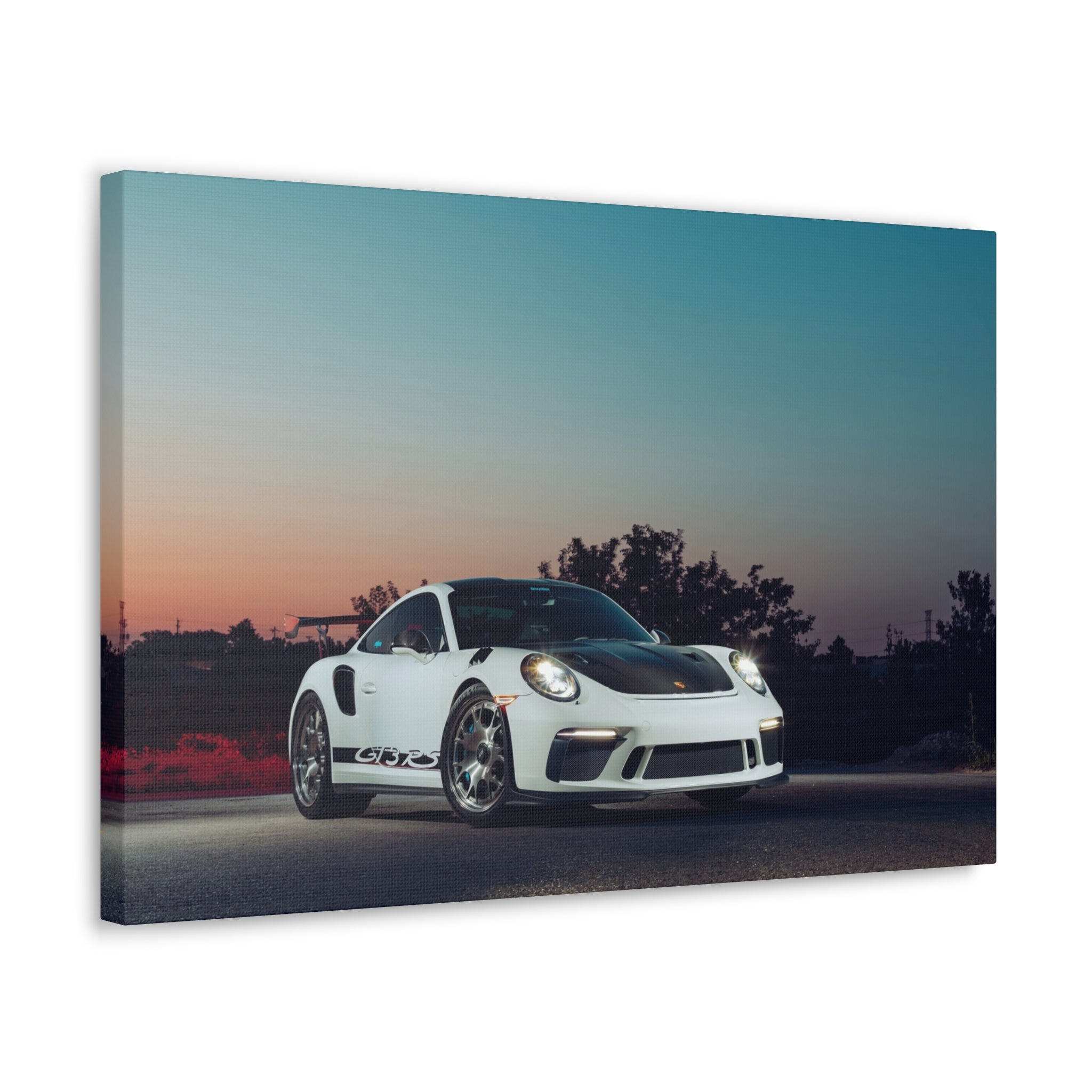 991.2 GT3RS - Canvas