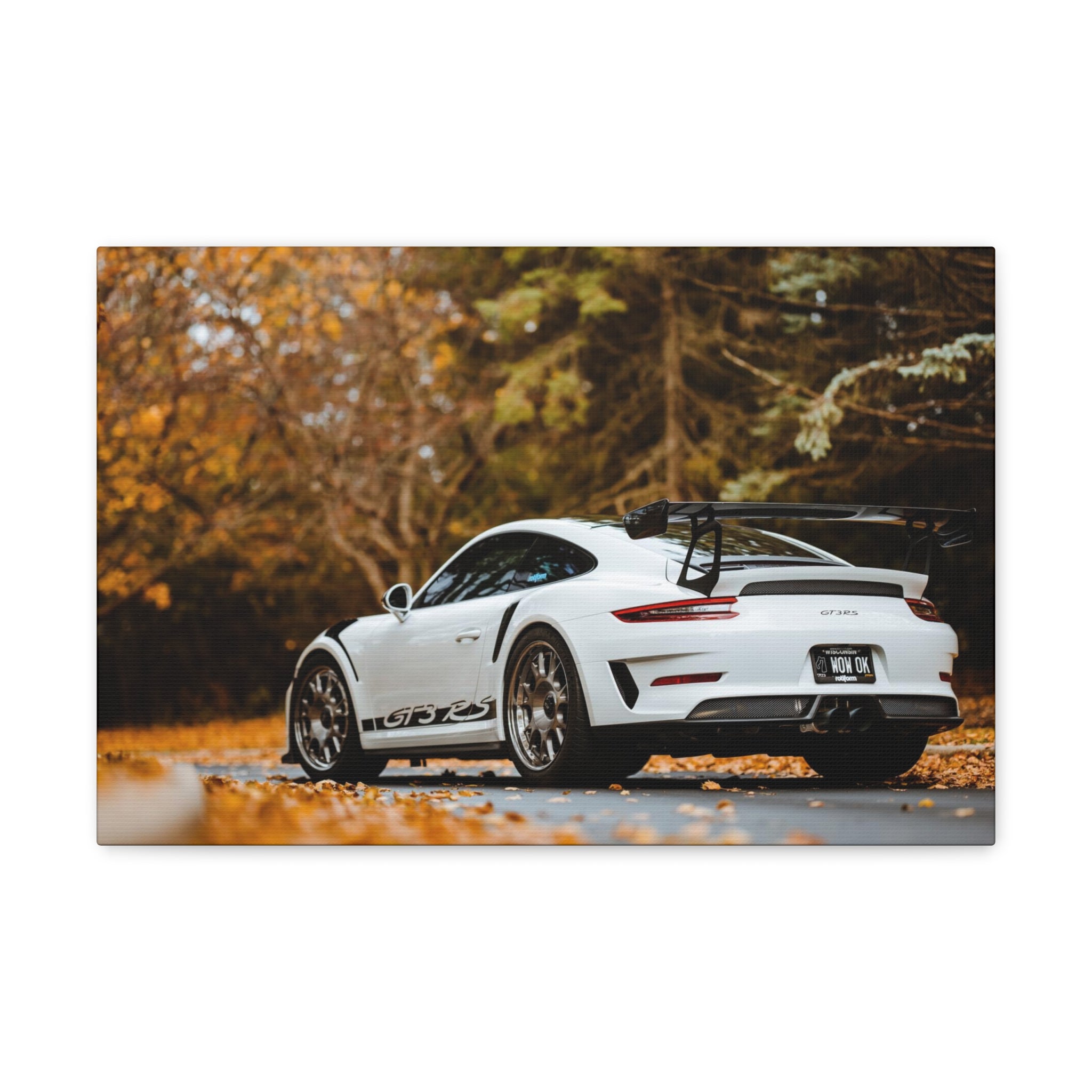 Porsche 991 GT3RS Weissach Canvas