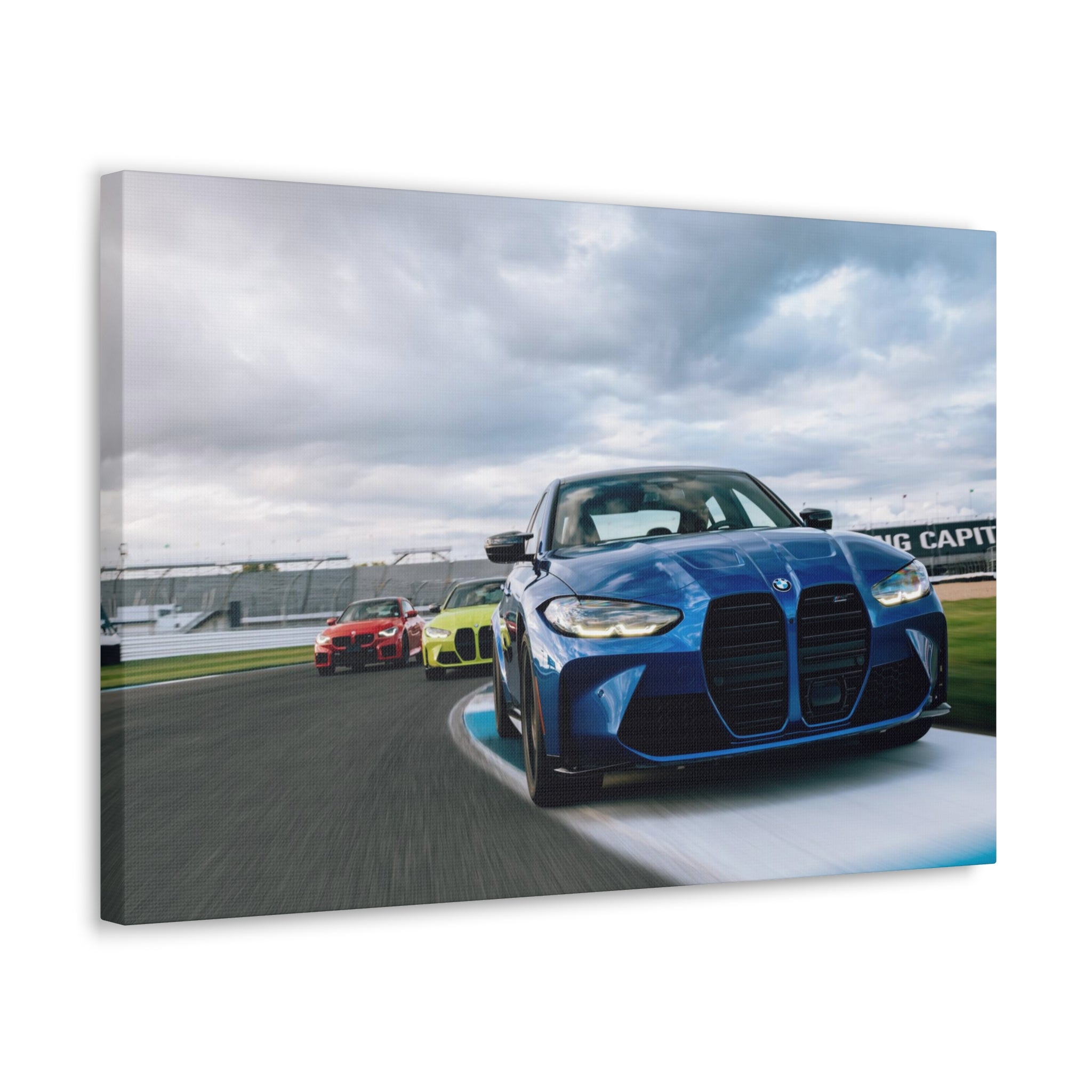 BMW Ms at IMS - Canvas