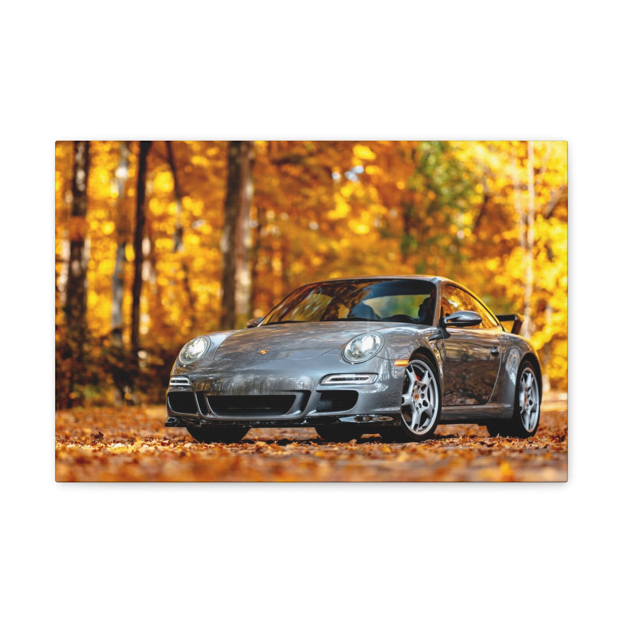 Aaron's 997 Aerokit - Canvas