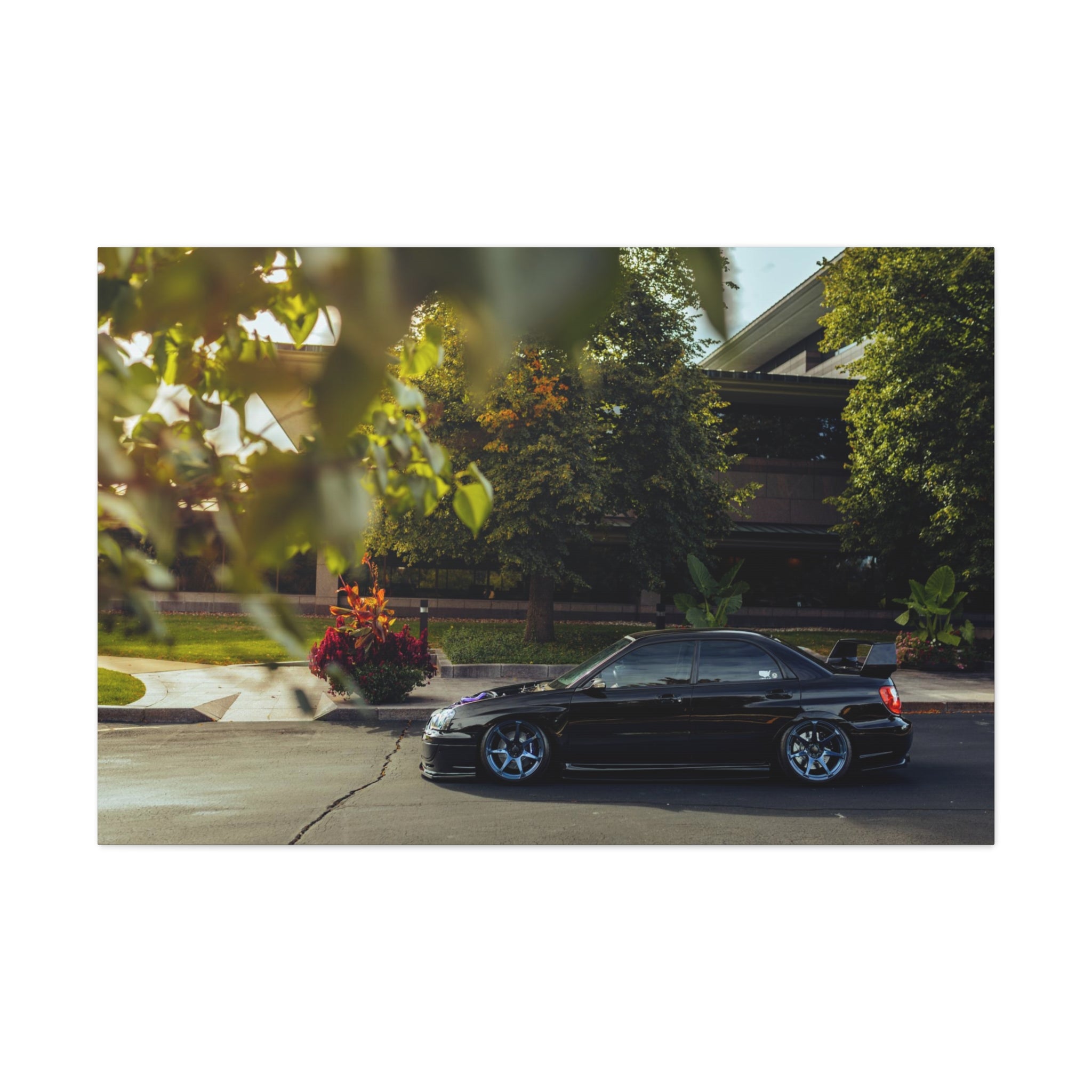 Wirtz STI Canvas
