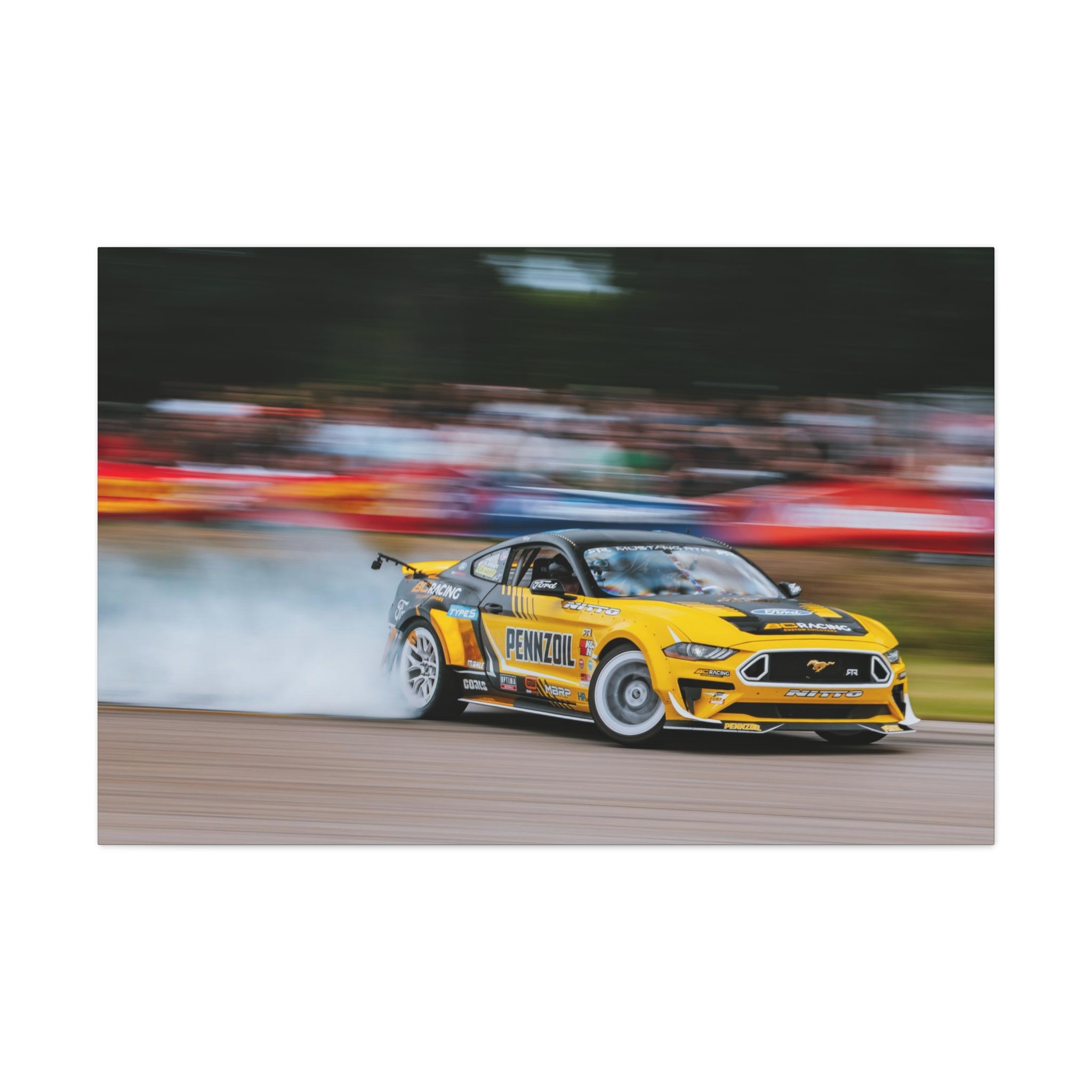 Chelsea DeNofa's RTR Mustang - Gingerman Raceway