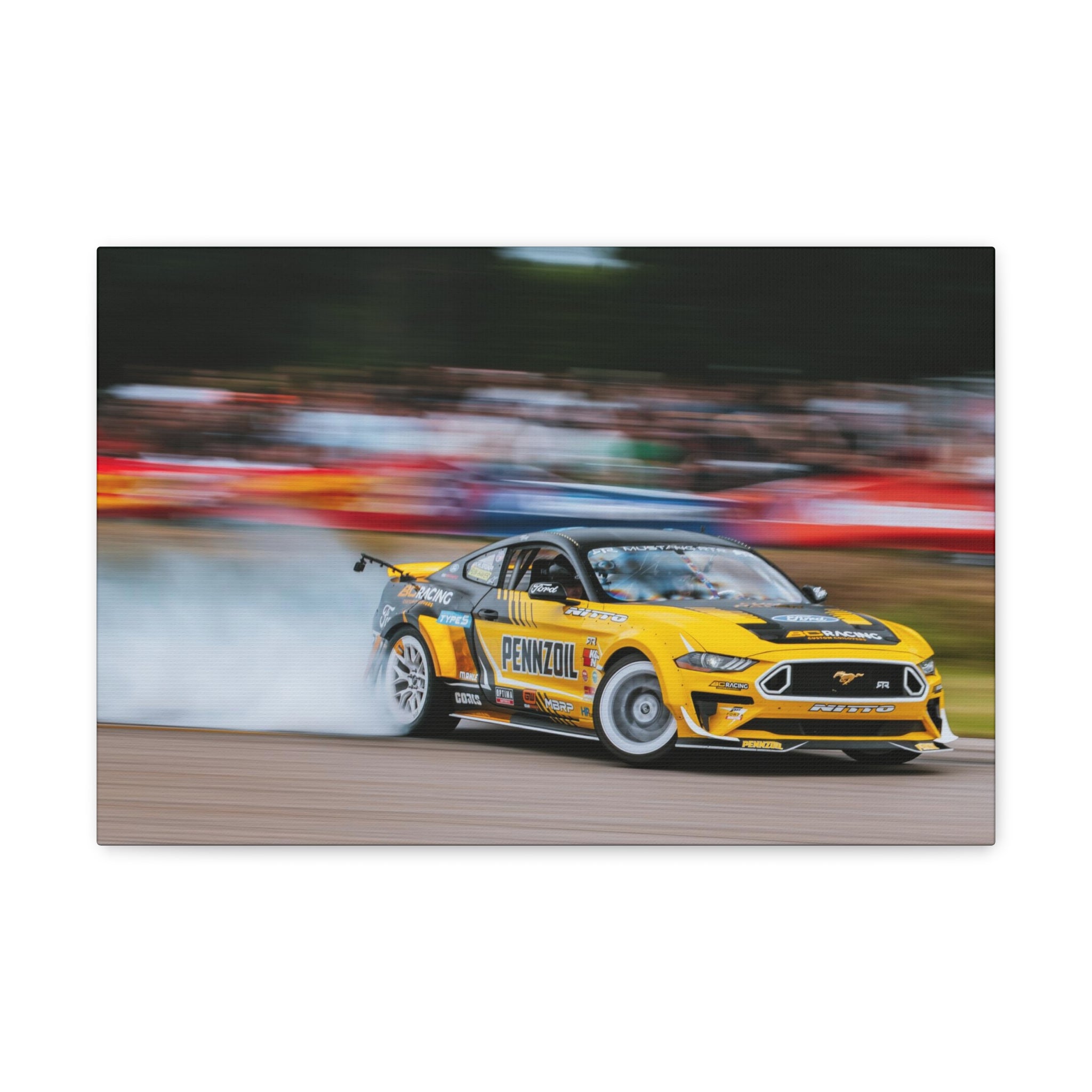 Chelsea DeNofa's RTR Mustang - Gingerman Raceway