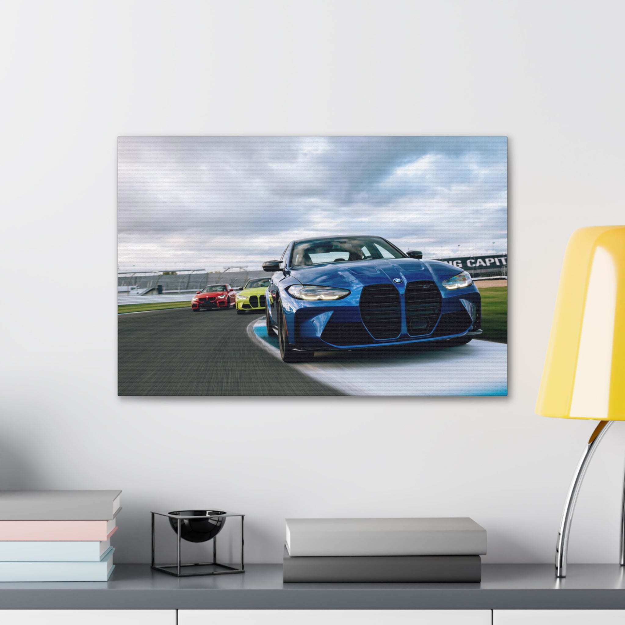 BMW Ms at IMS - Canvas