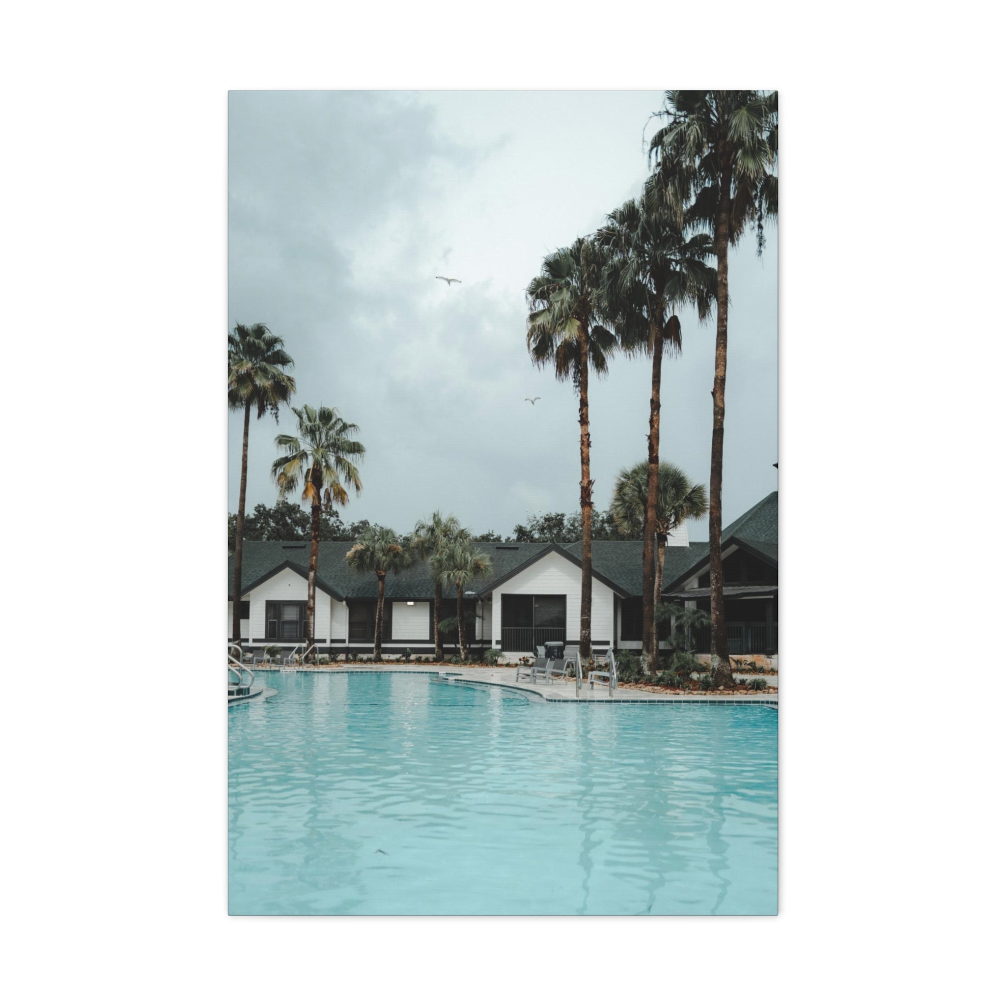 Poolside - Tampa Canvas