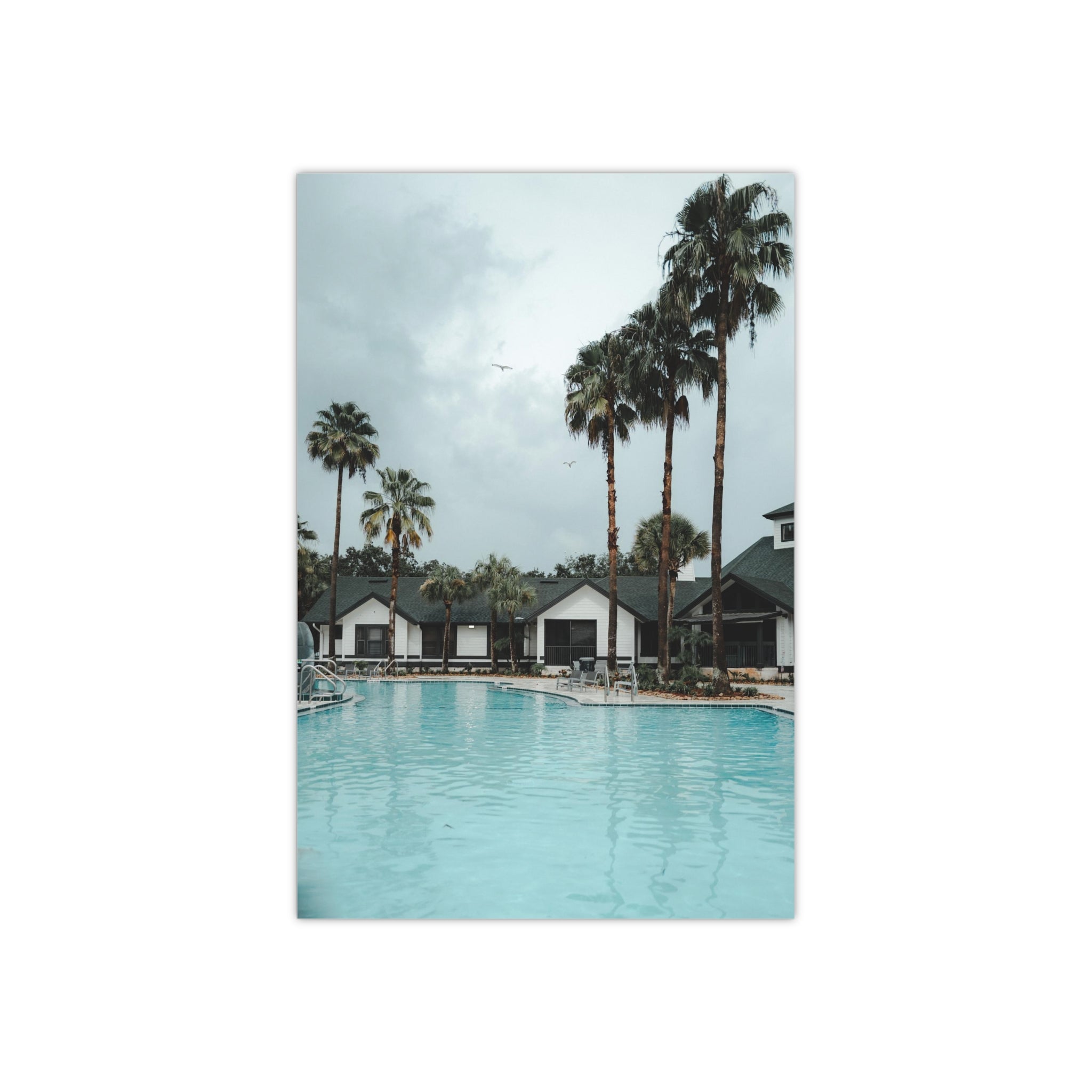 Poolside - Tampa