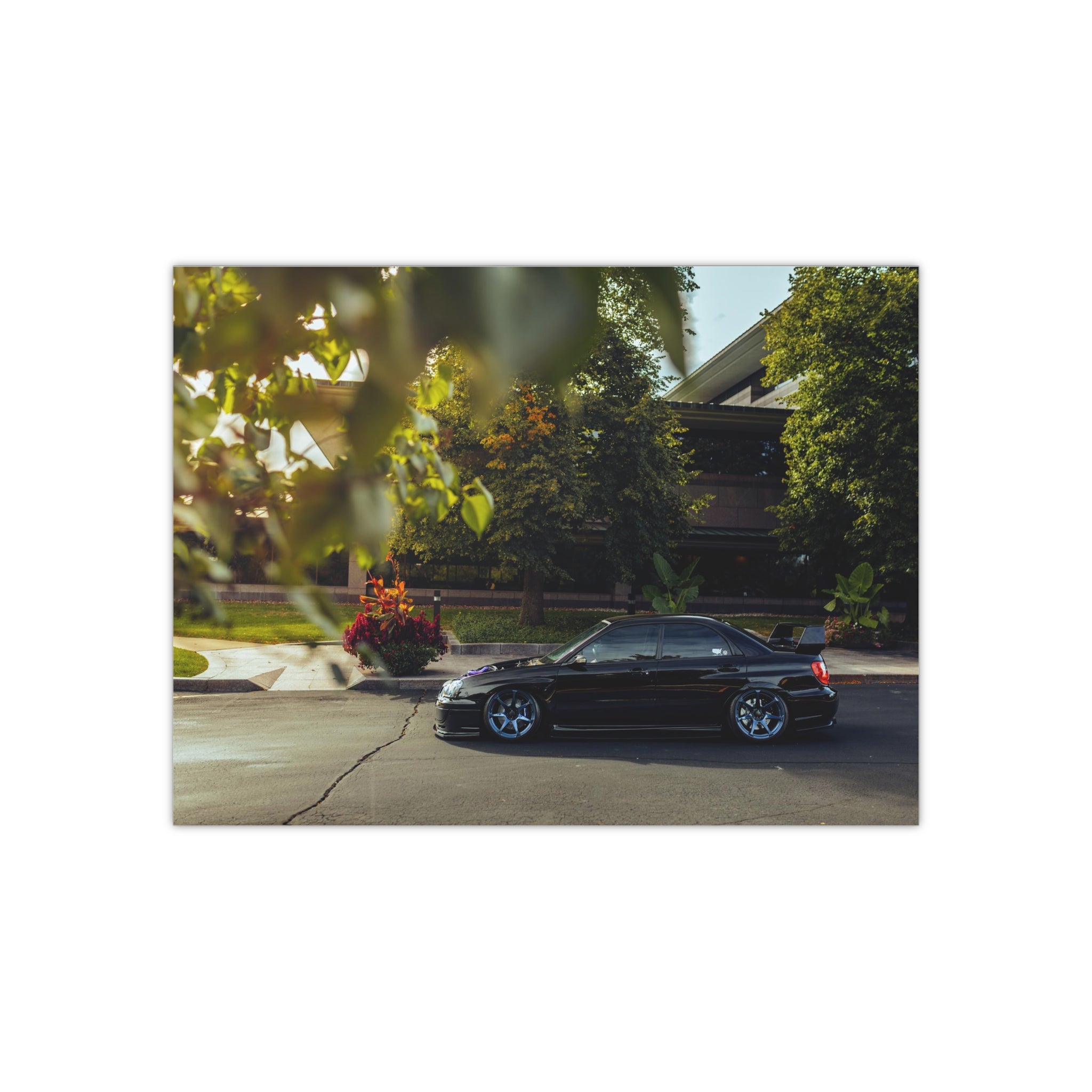 Wirtz STI