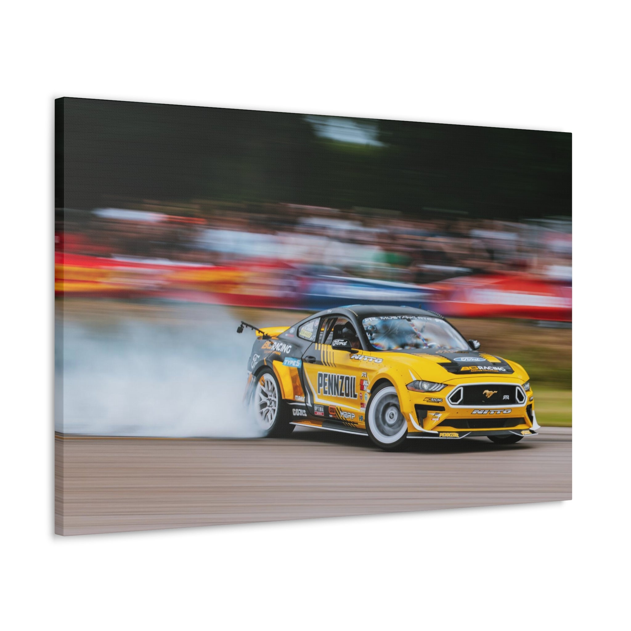 Chelsea DeNofa's RTR Mustang - Gingerman Raceway