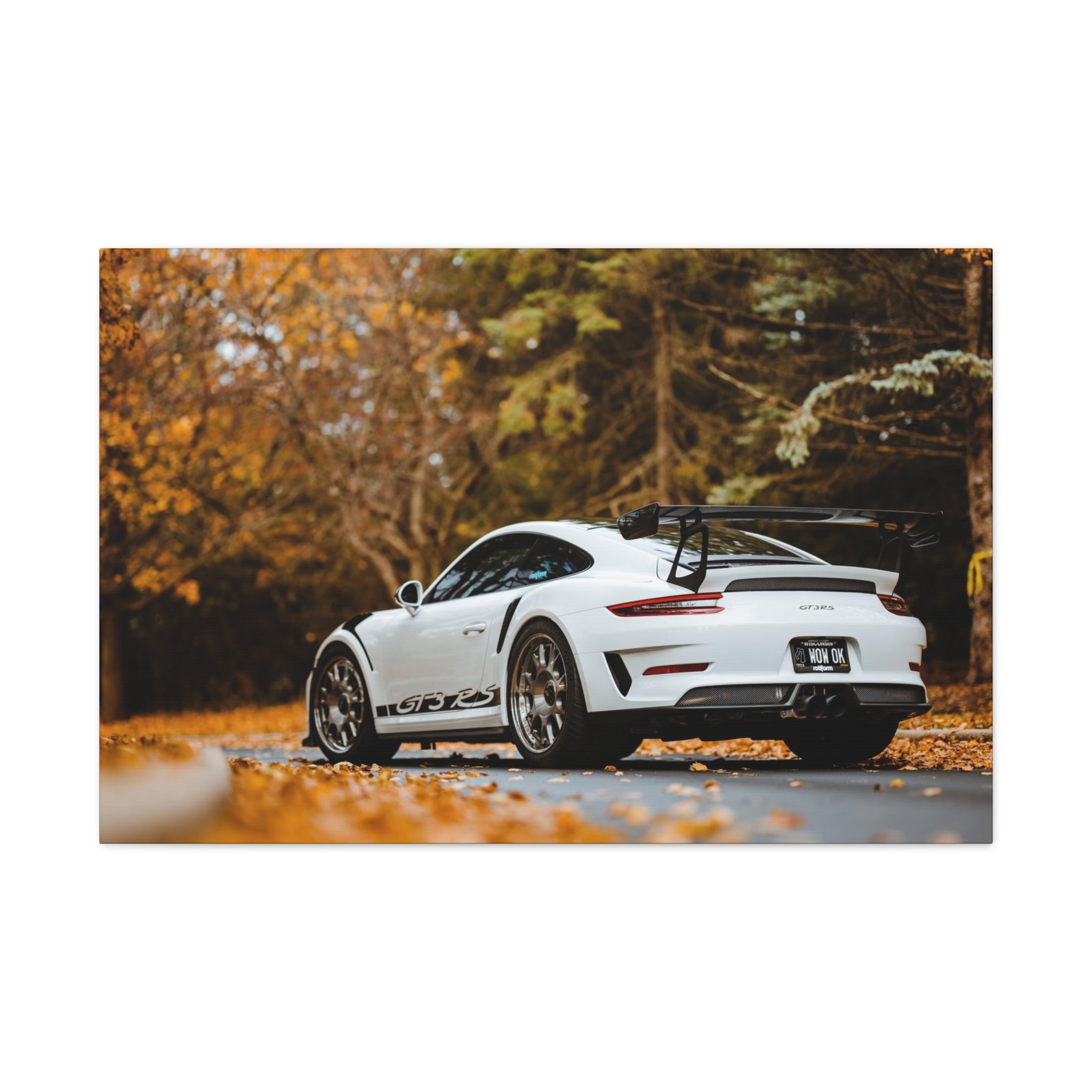 Porsche 991 GT3RS Weissach Canvas