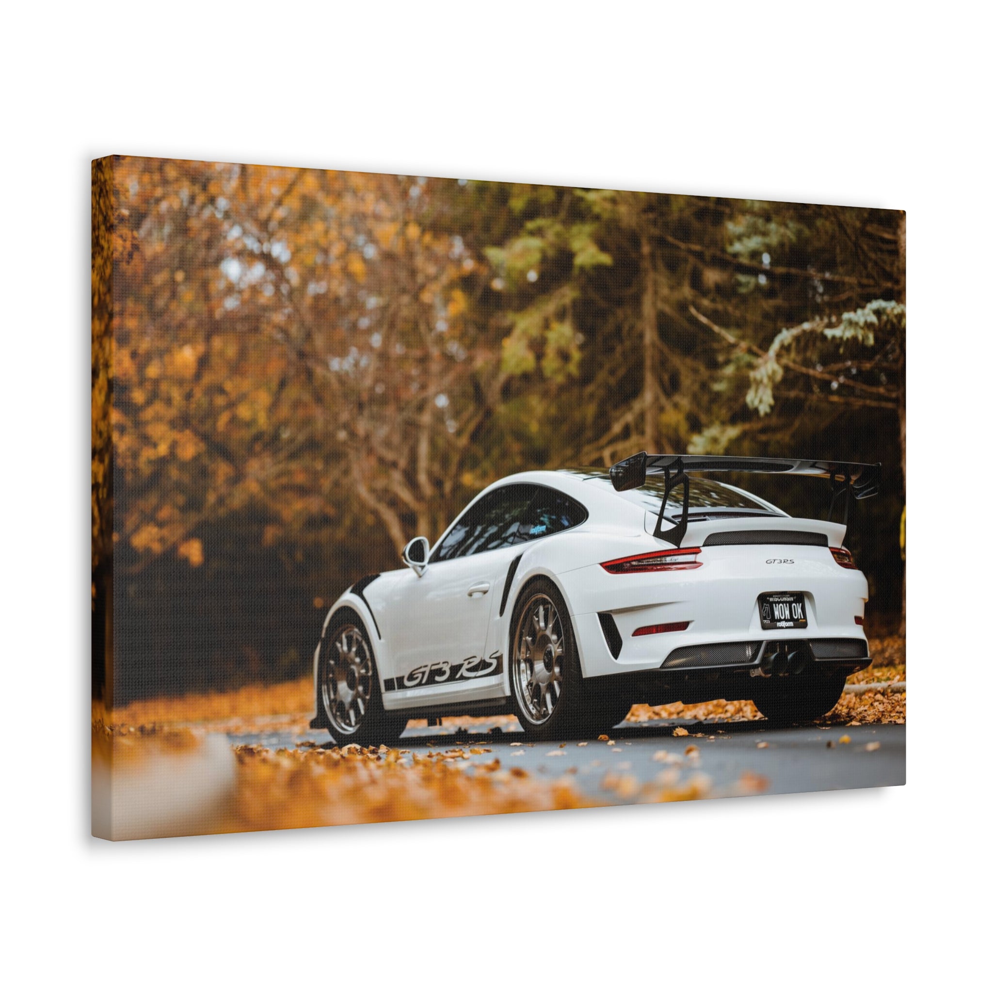 Porsche 991 GT3RS Weissach Canvas