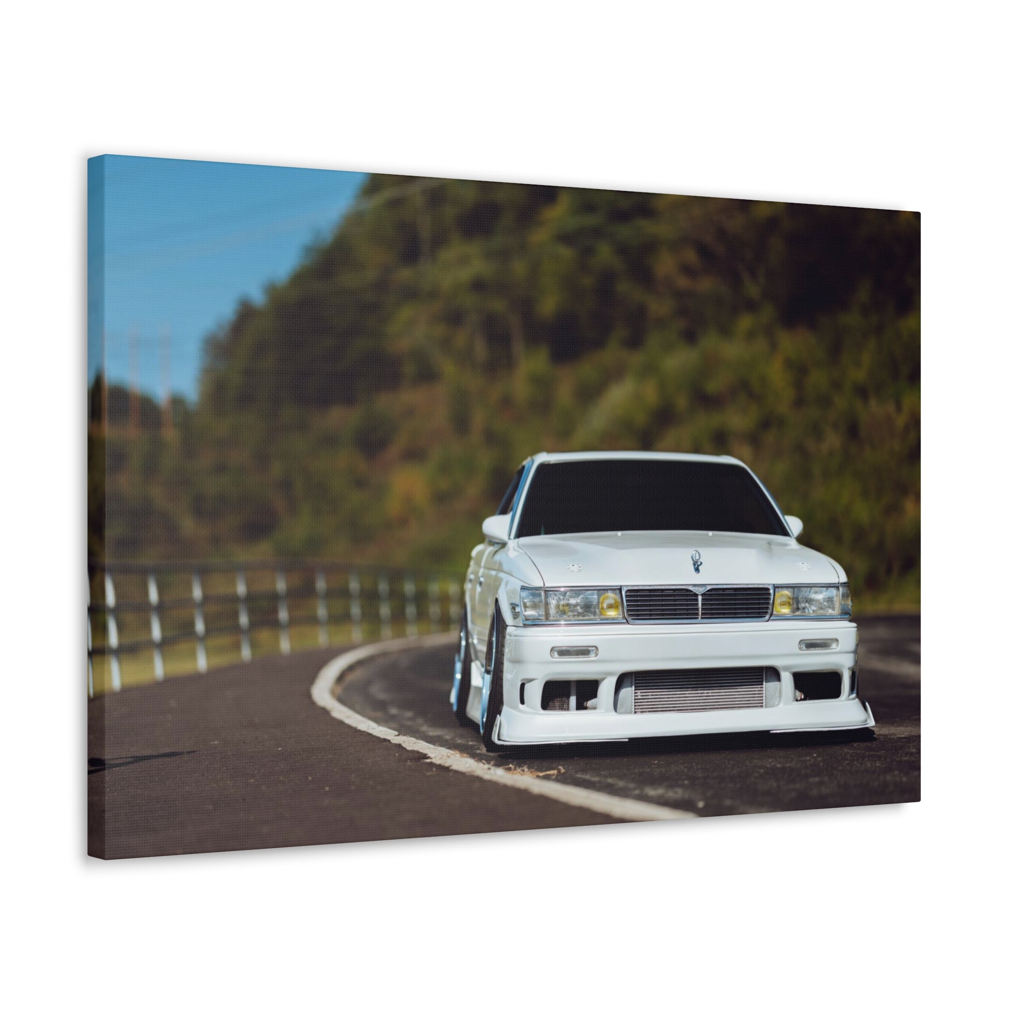 Richy's Laurel Canvas