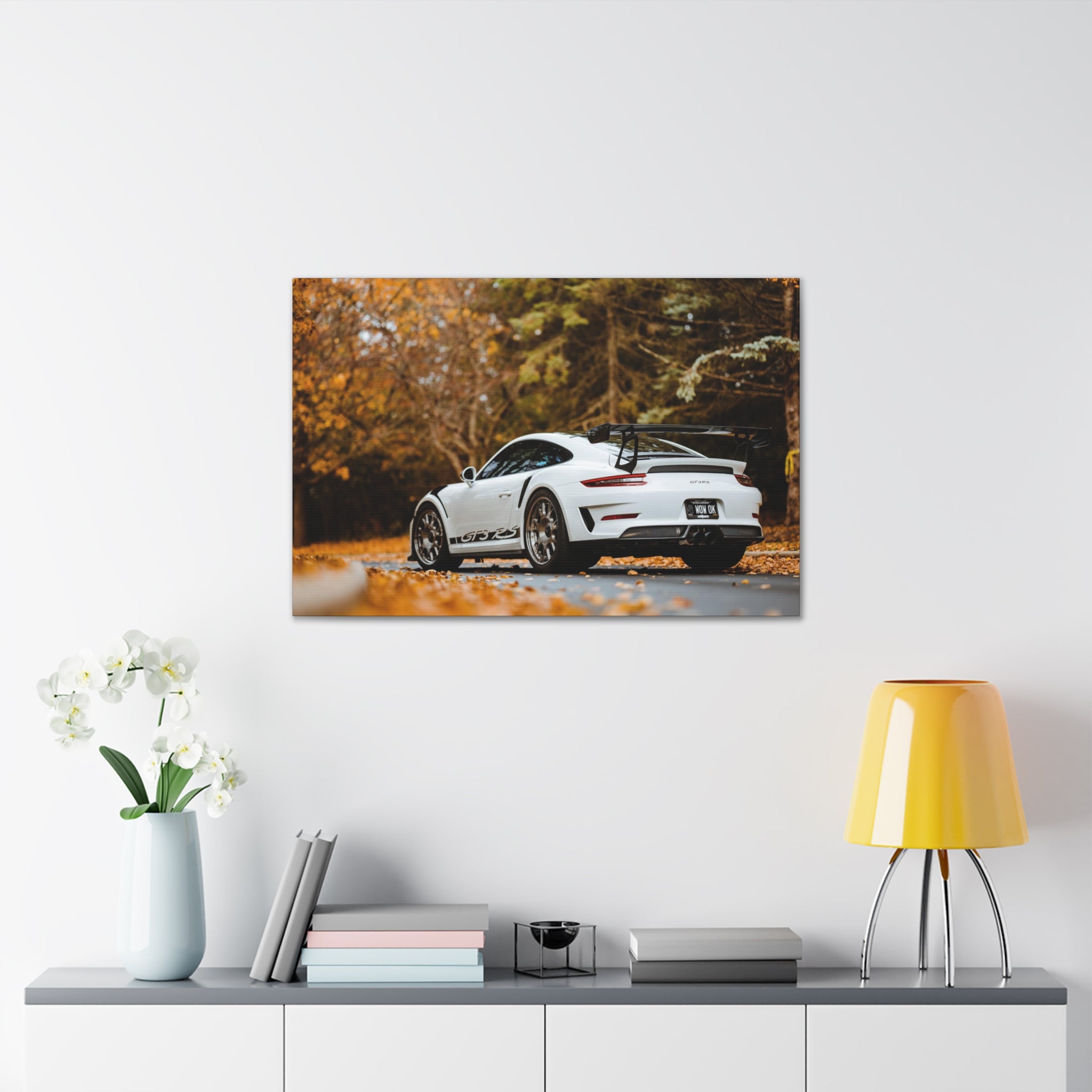 Porsche 991 GT3RS Weissach Canvas