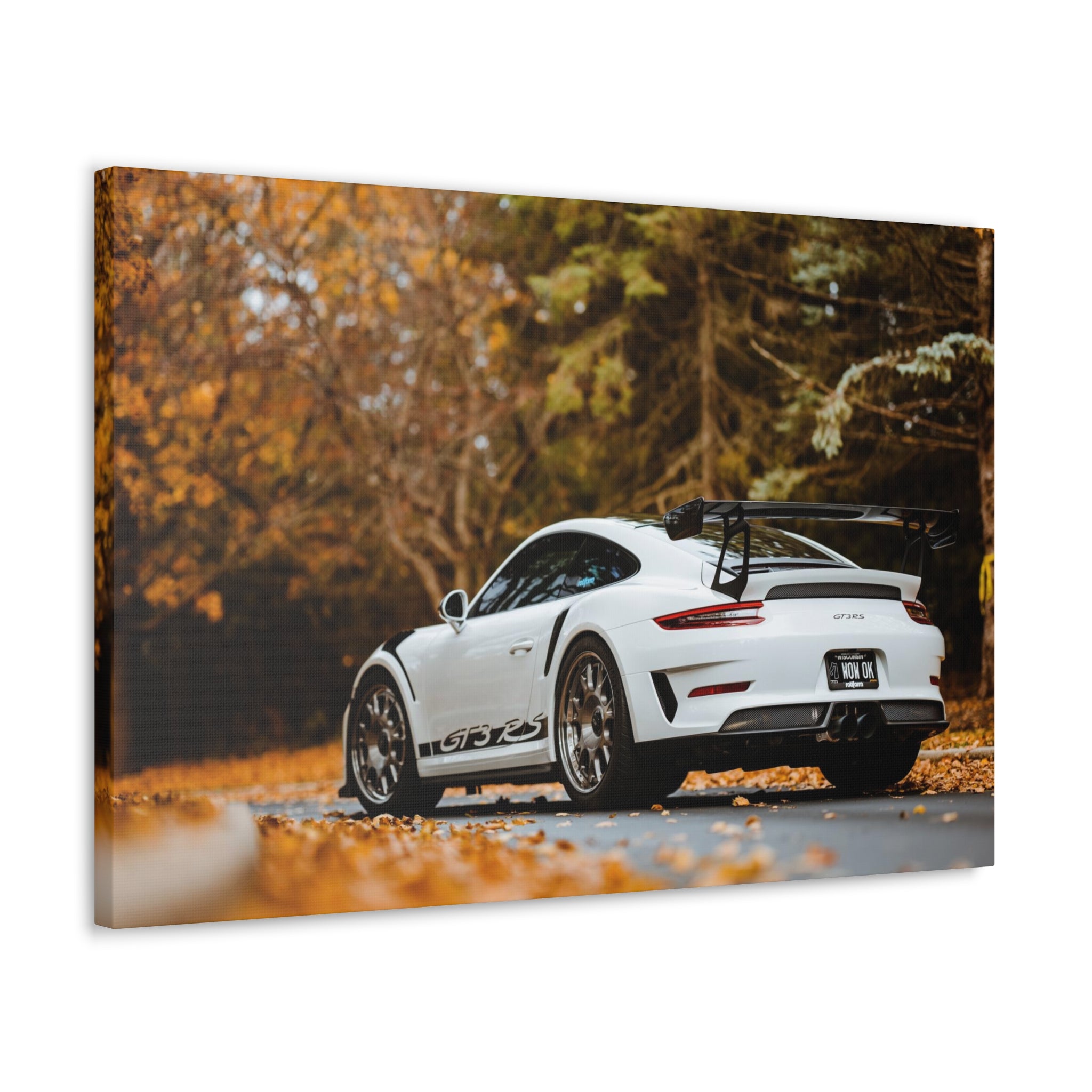 Porsche 991 GT3RS Weissach Canvas