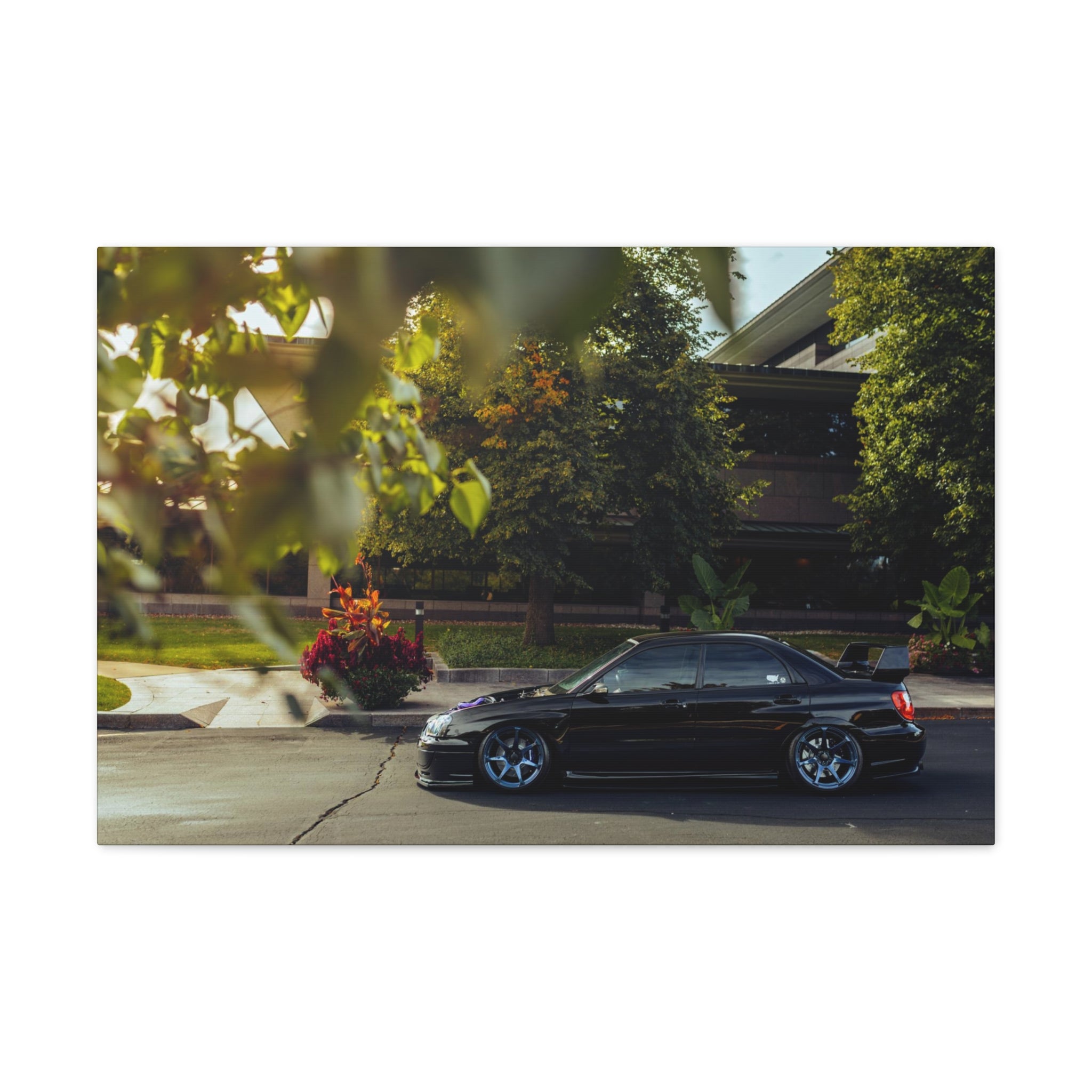 Wirtz STI Canvas