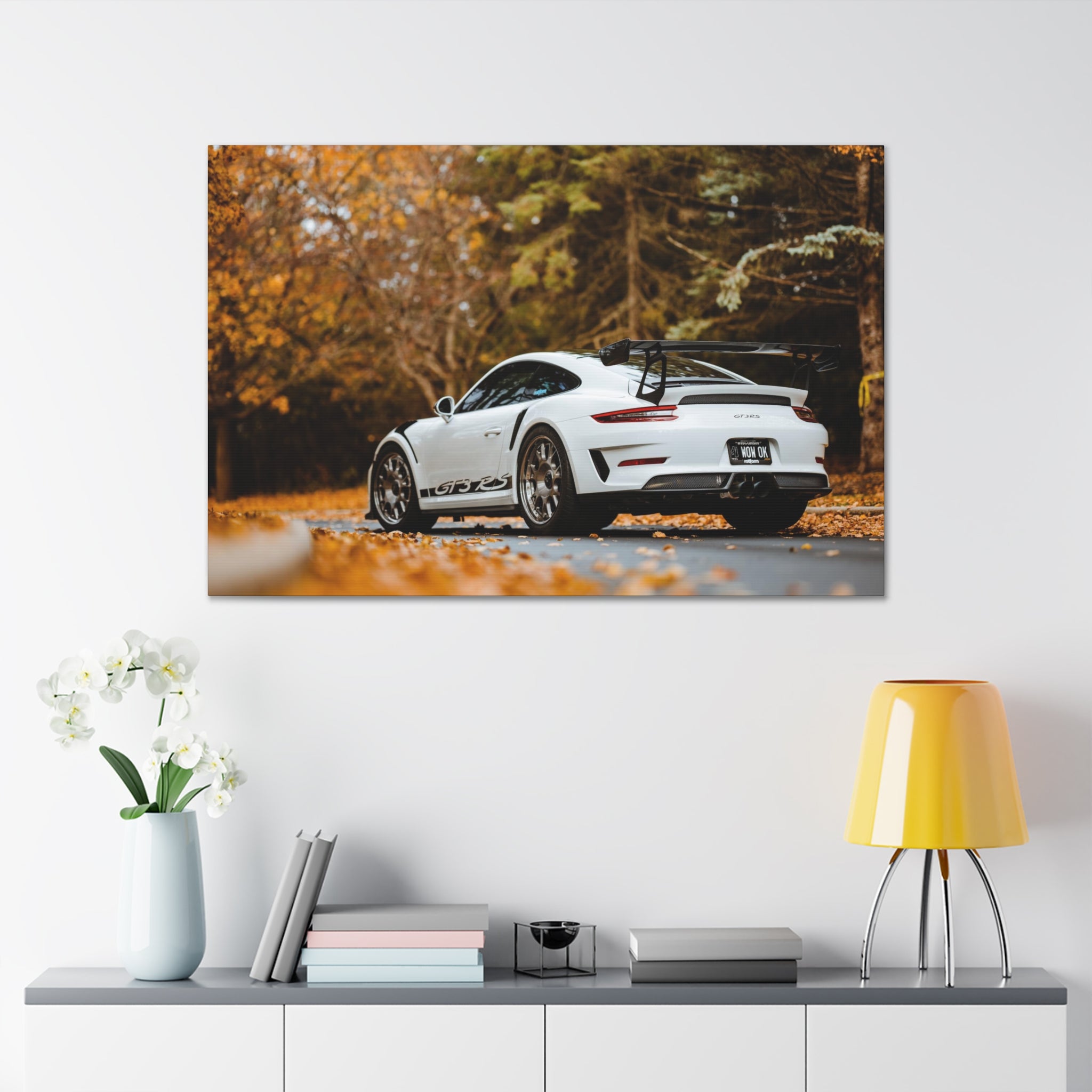 Porsche 991 GT3RS Weissach Canvas