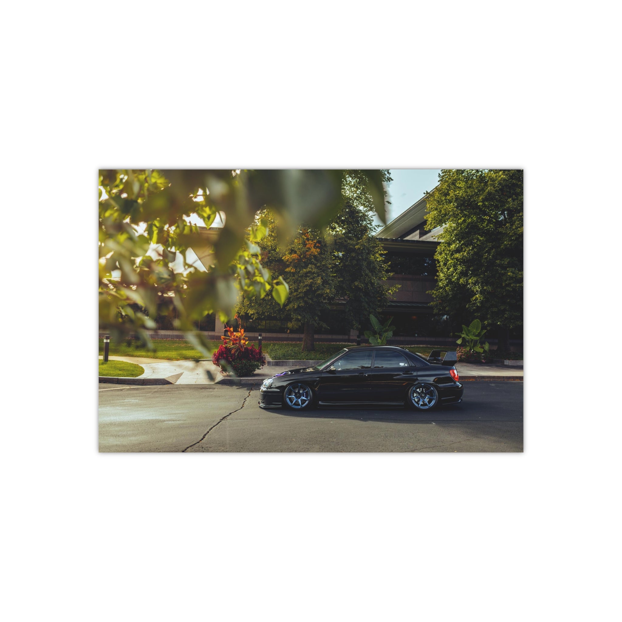 Wirtz STI